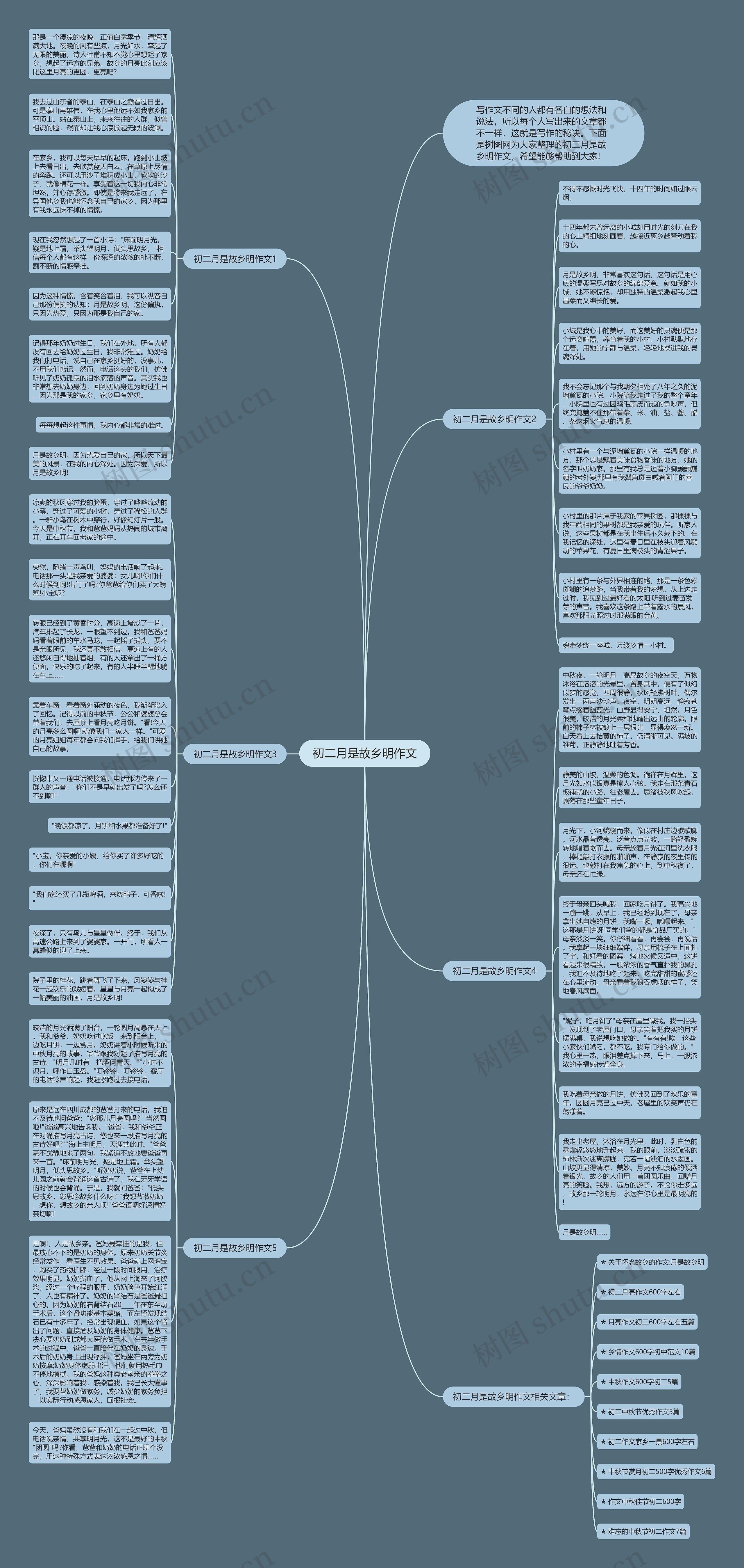 初二月是故乡明作文思维导图
