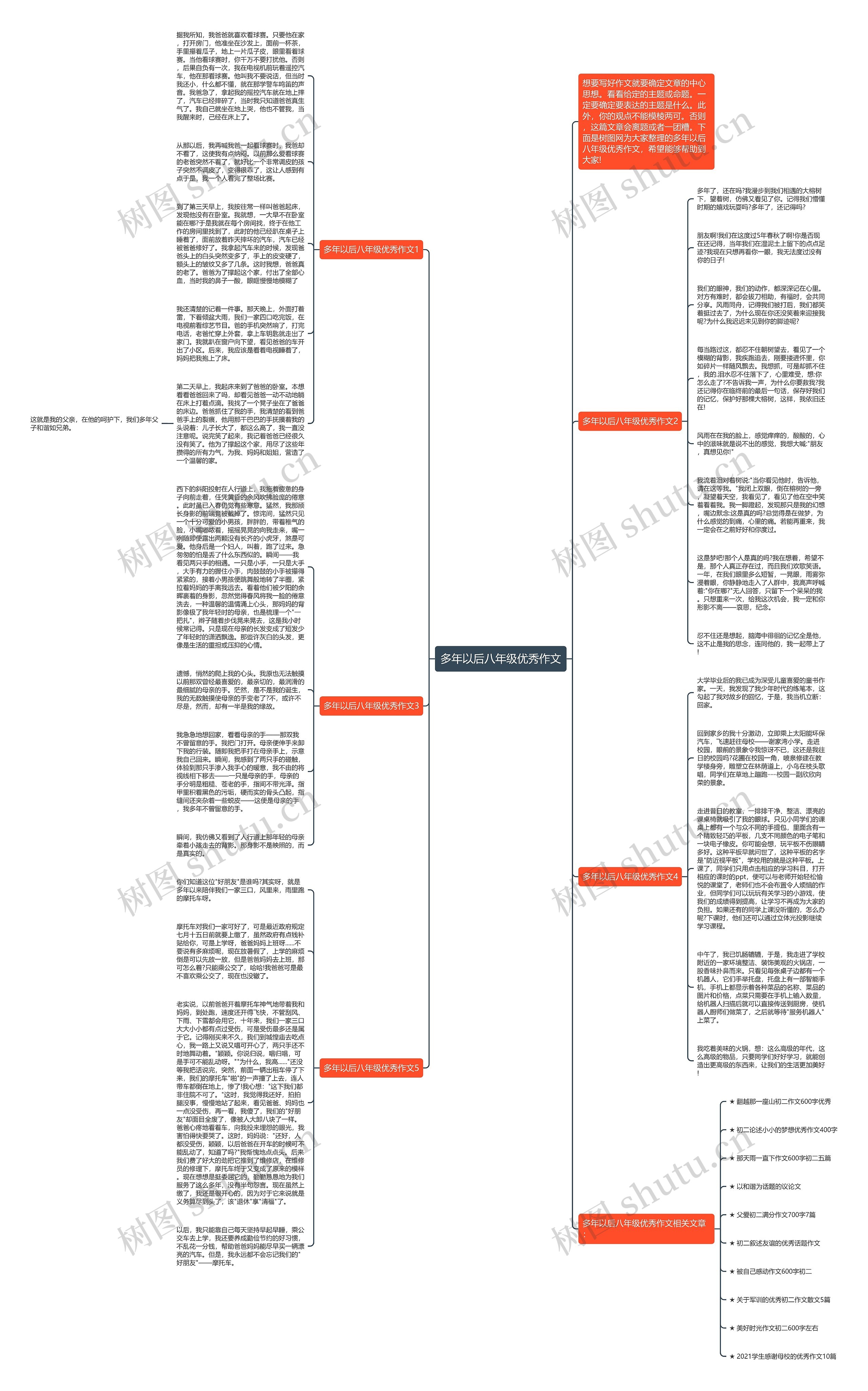 多年以后八年级优秀作文思维导图