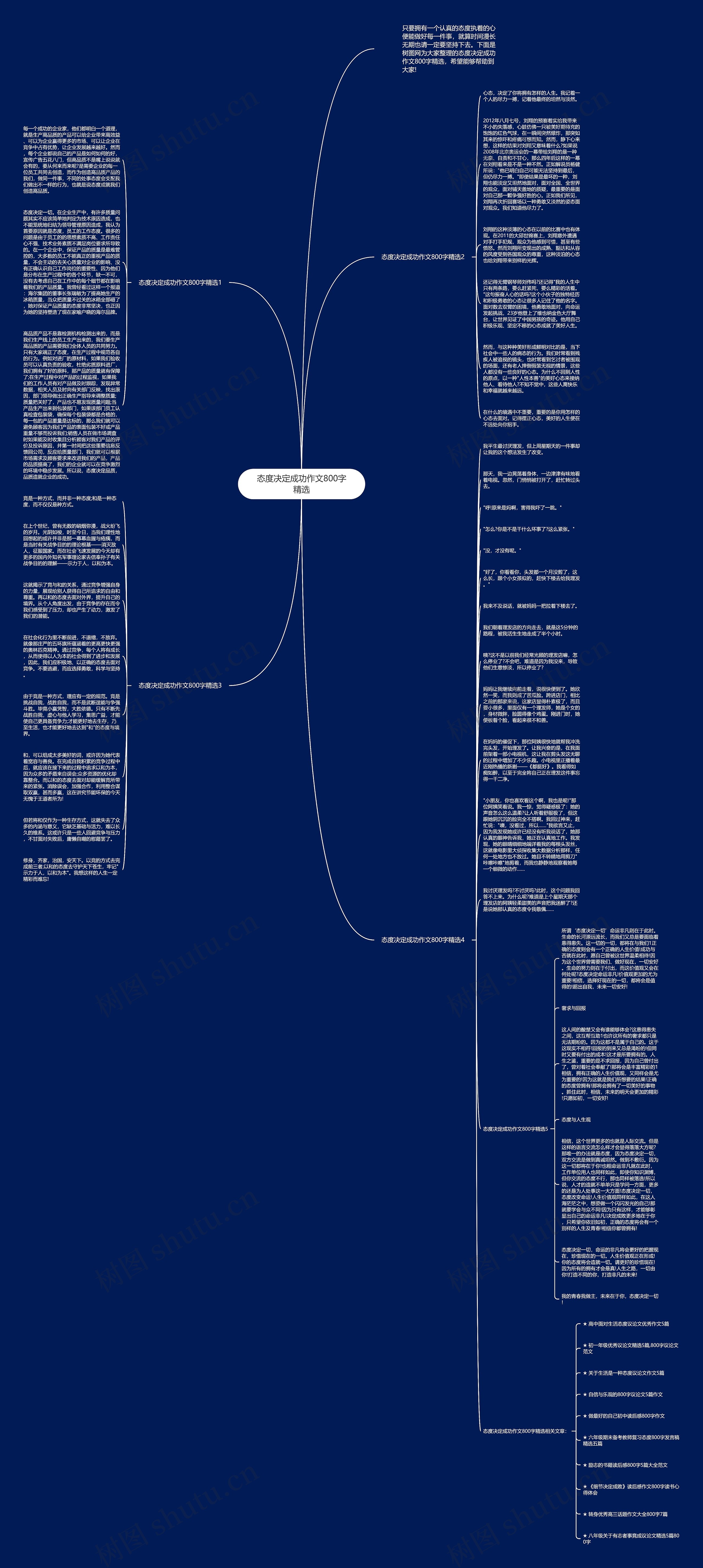 态度决定成功作文800字精选思维导图