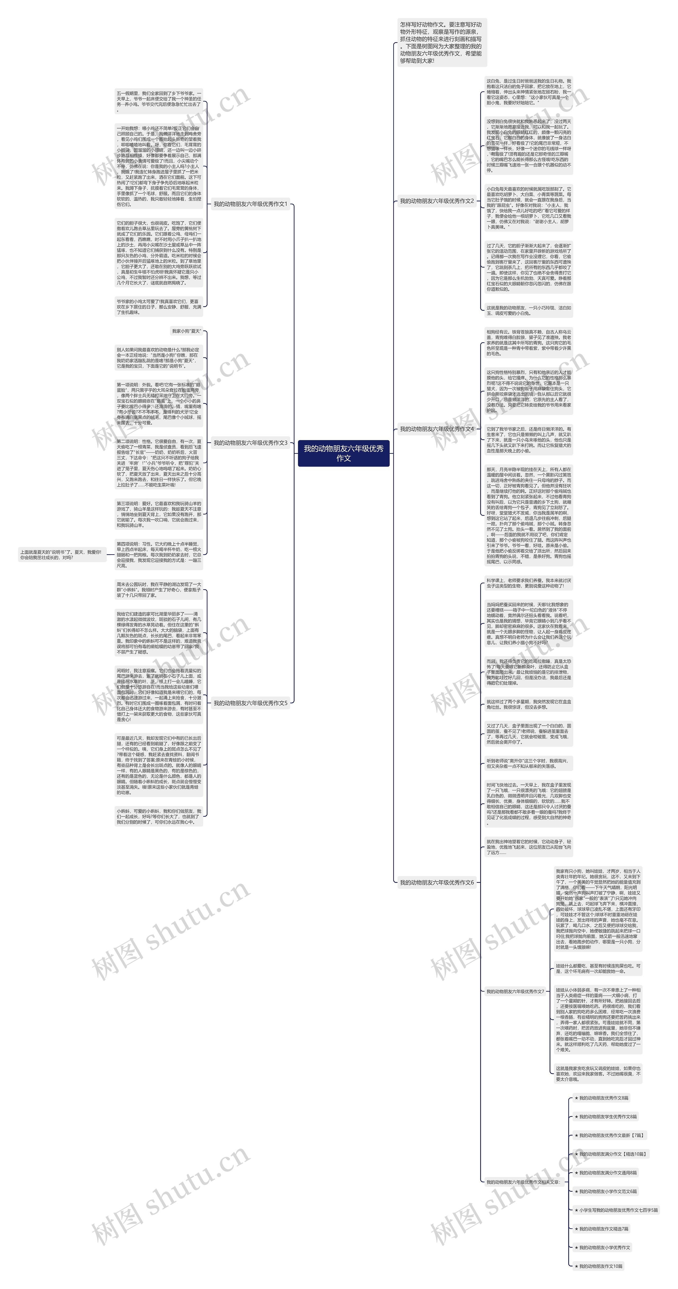 我的动物朋友六年级优秀作文思维导图