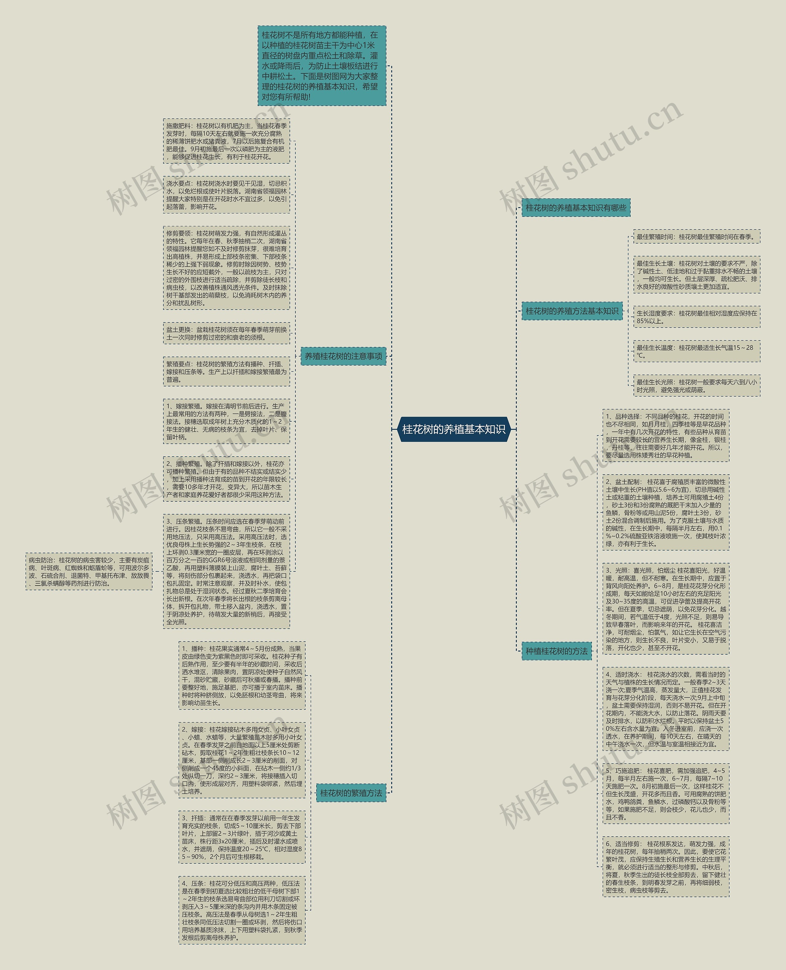 桂花树的养植基本知识思维导图