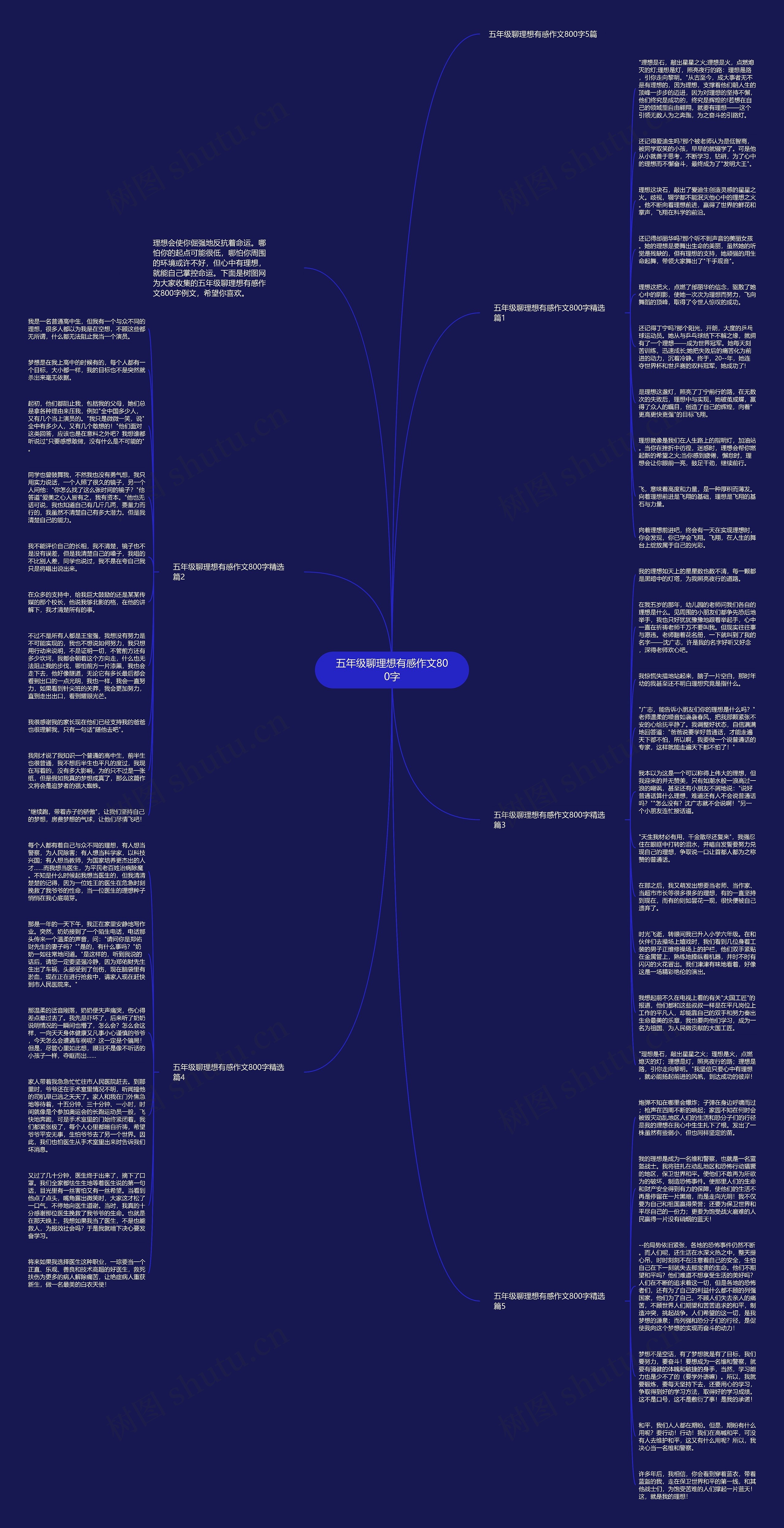 五年级聊理想有感作文800字思维导图
