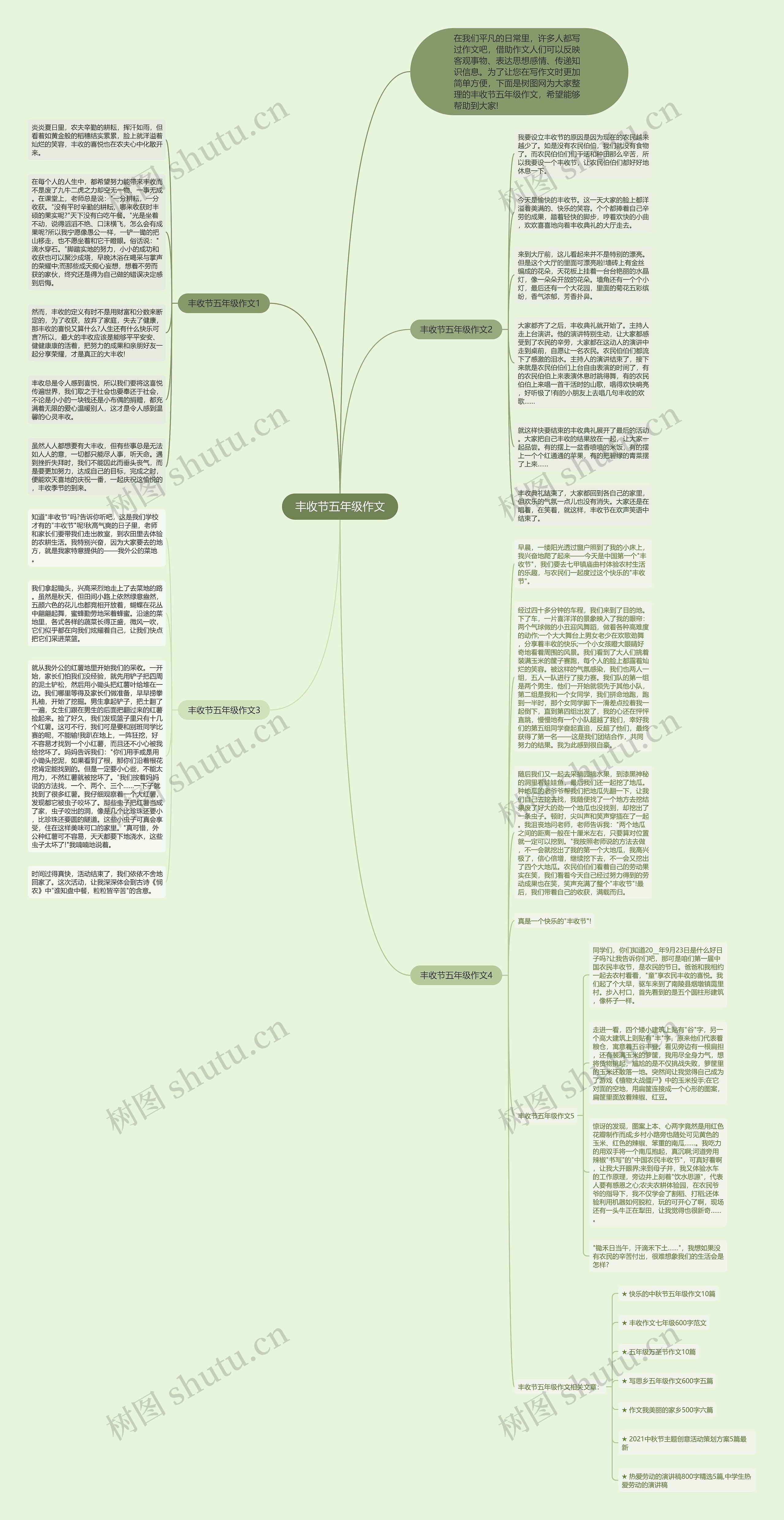 丰收节五年级作文思维导图