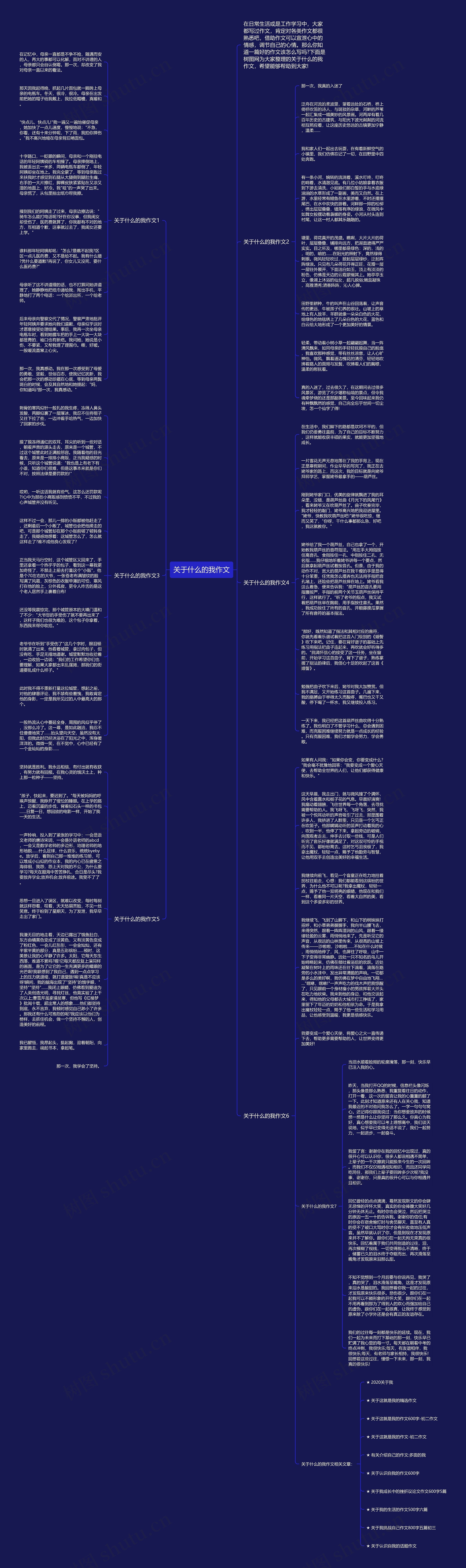 关于什么的我作文