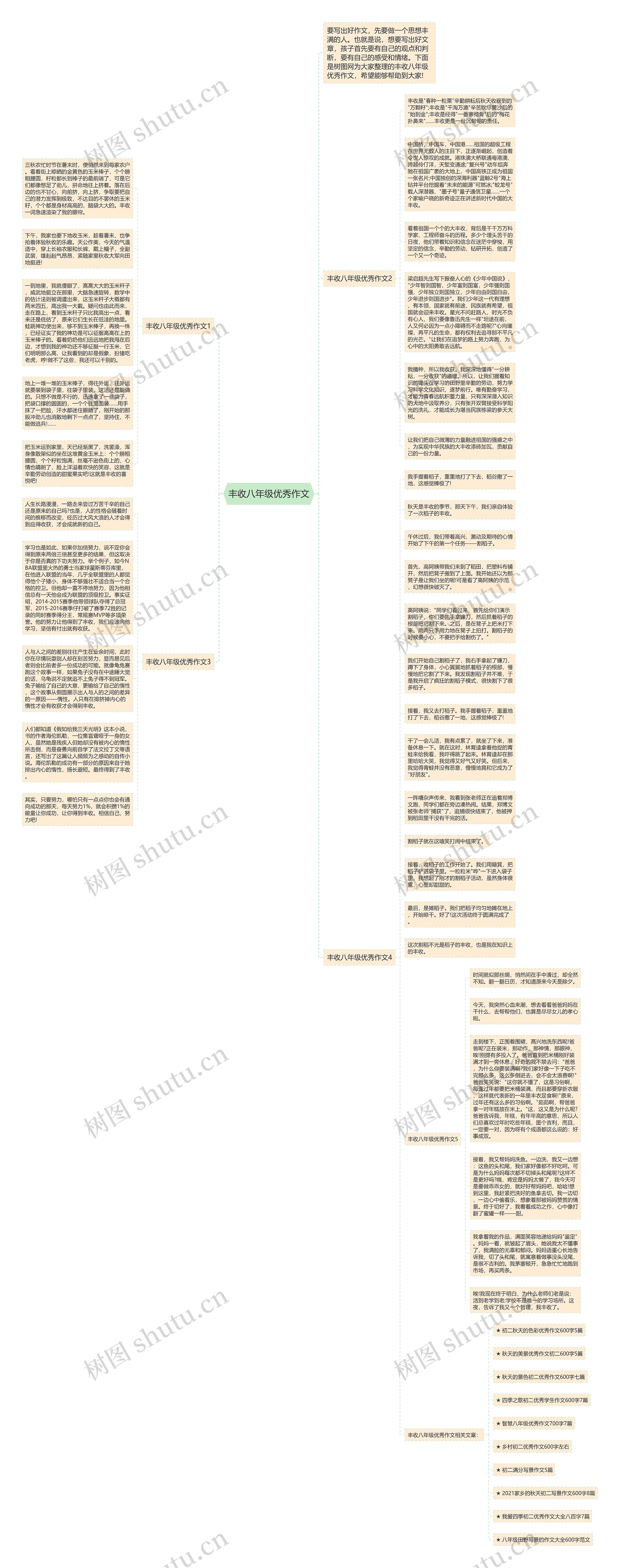 丰收八年级优秀作文思维导图