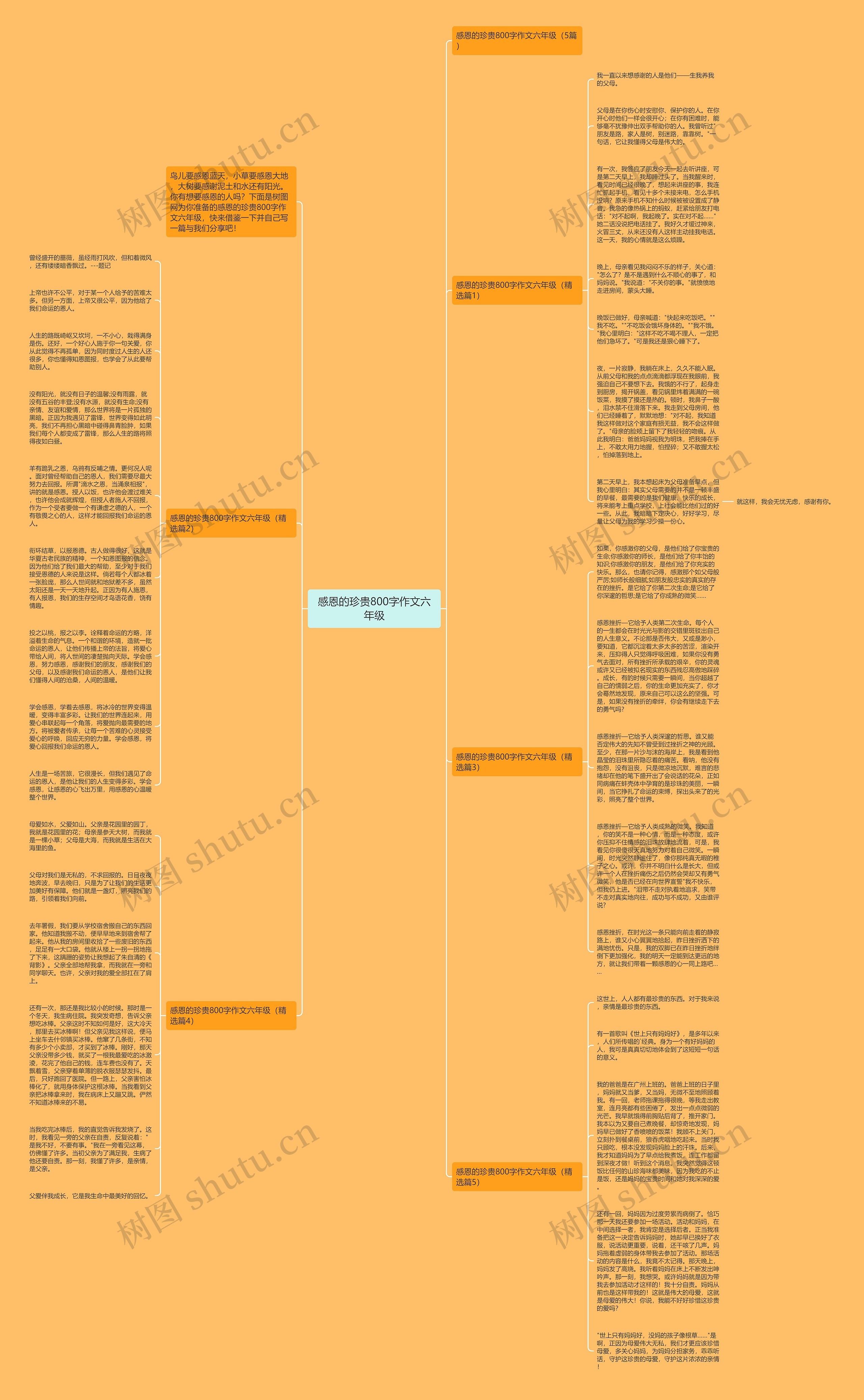 感恩的珍贵800字作文六年级思维导图