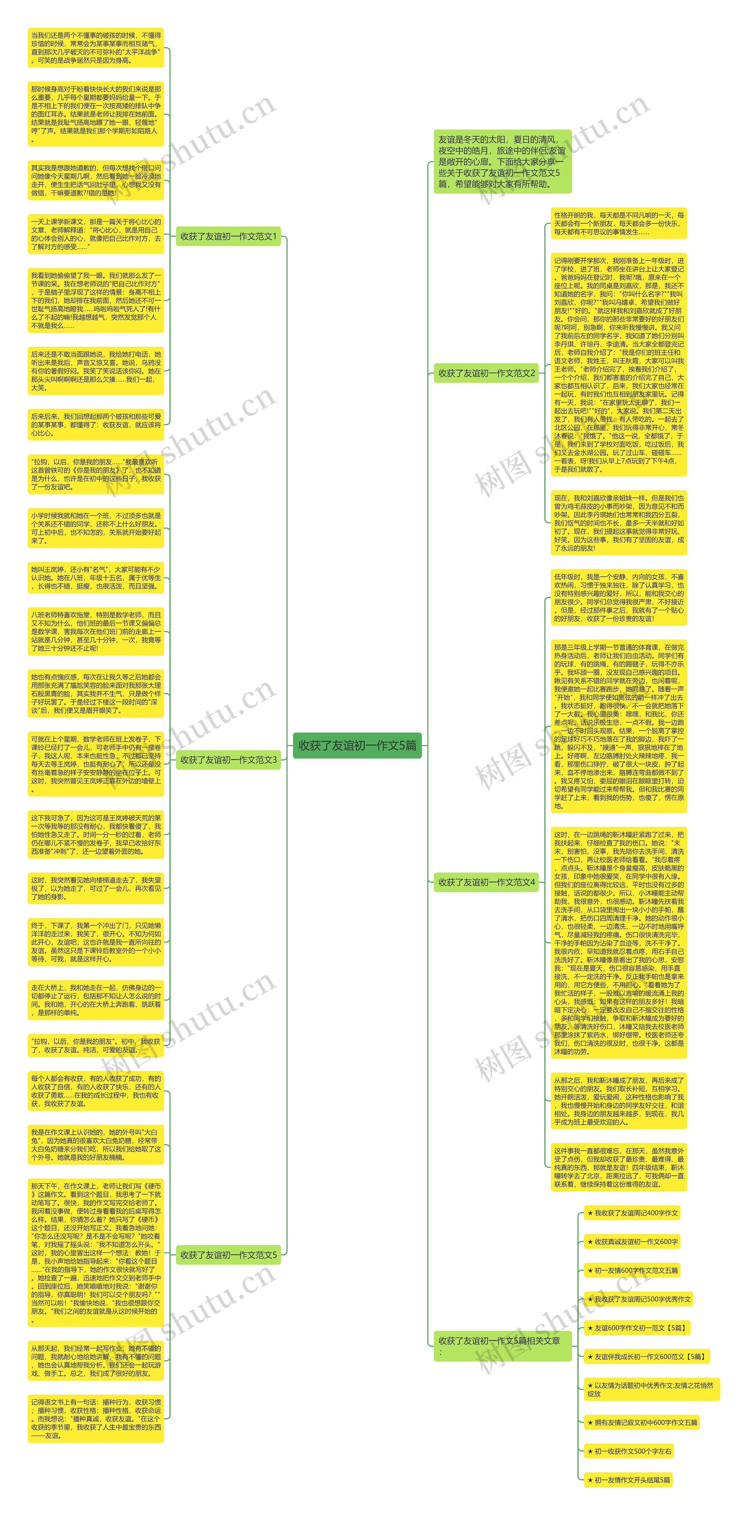 收获了友谊初一作文5篇思维导图