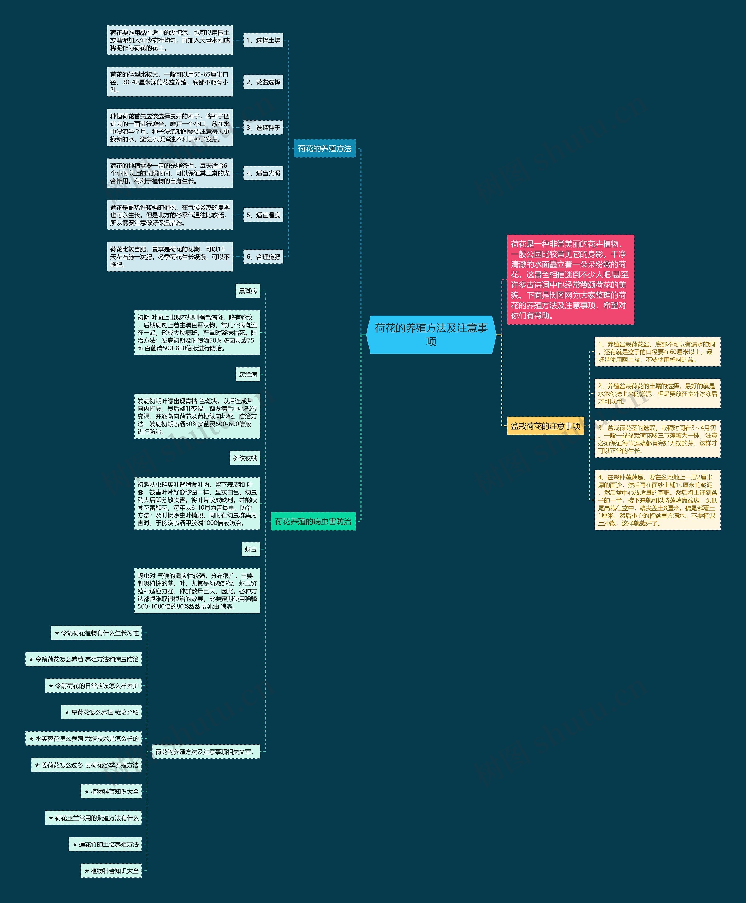荷花的养殖方法及注意事项思维导图