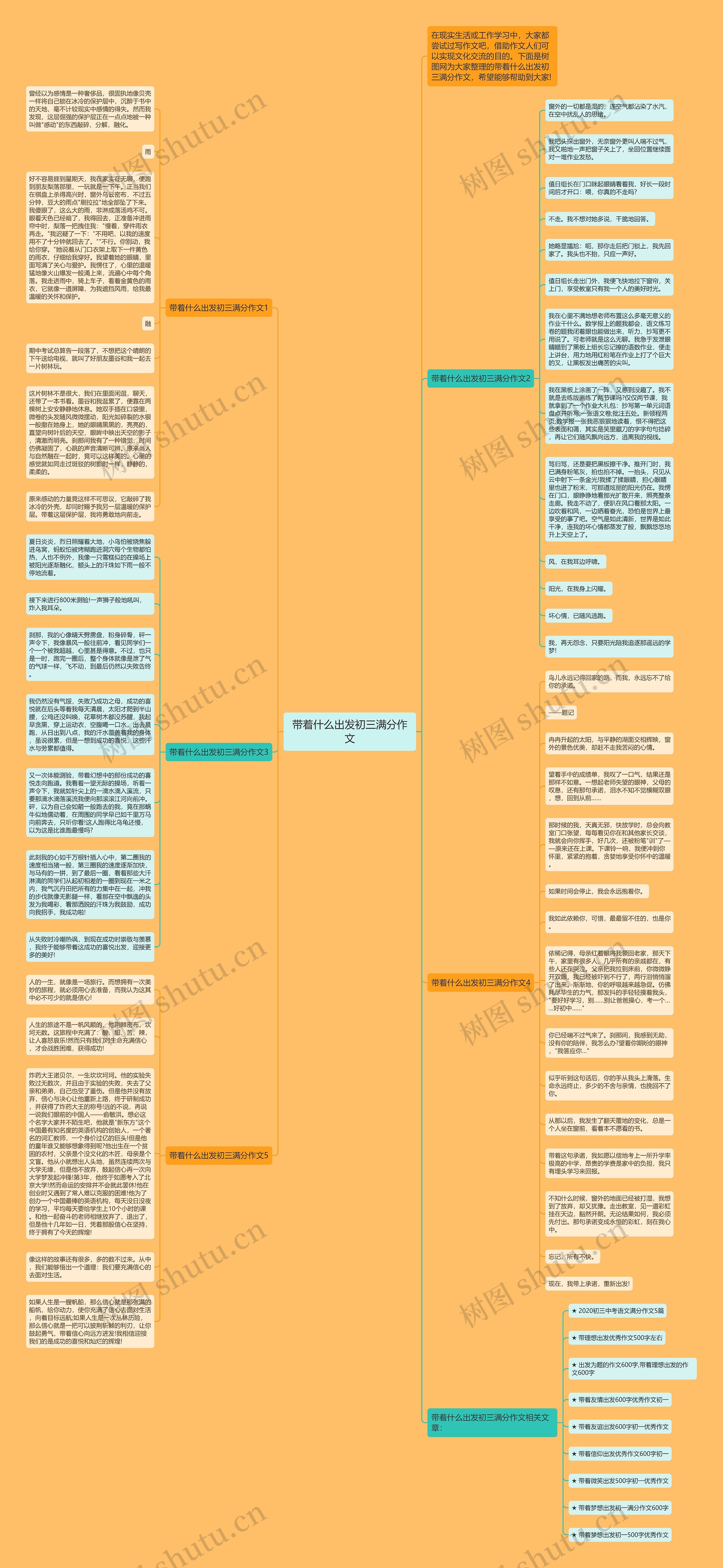 带着什么出发初三满分作文