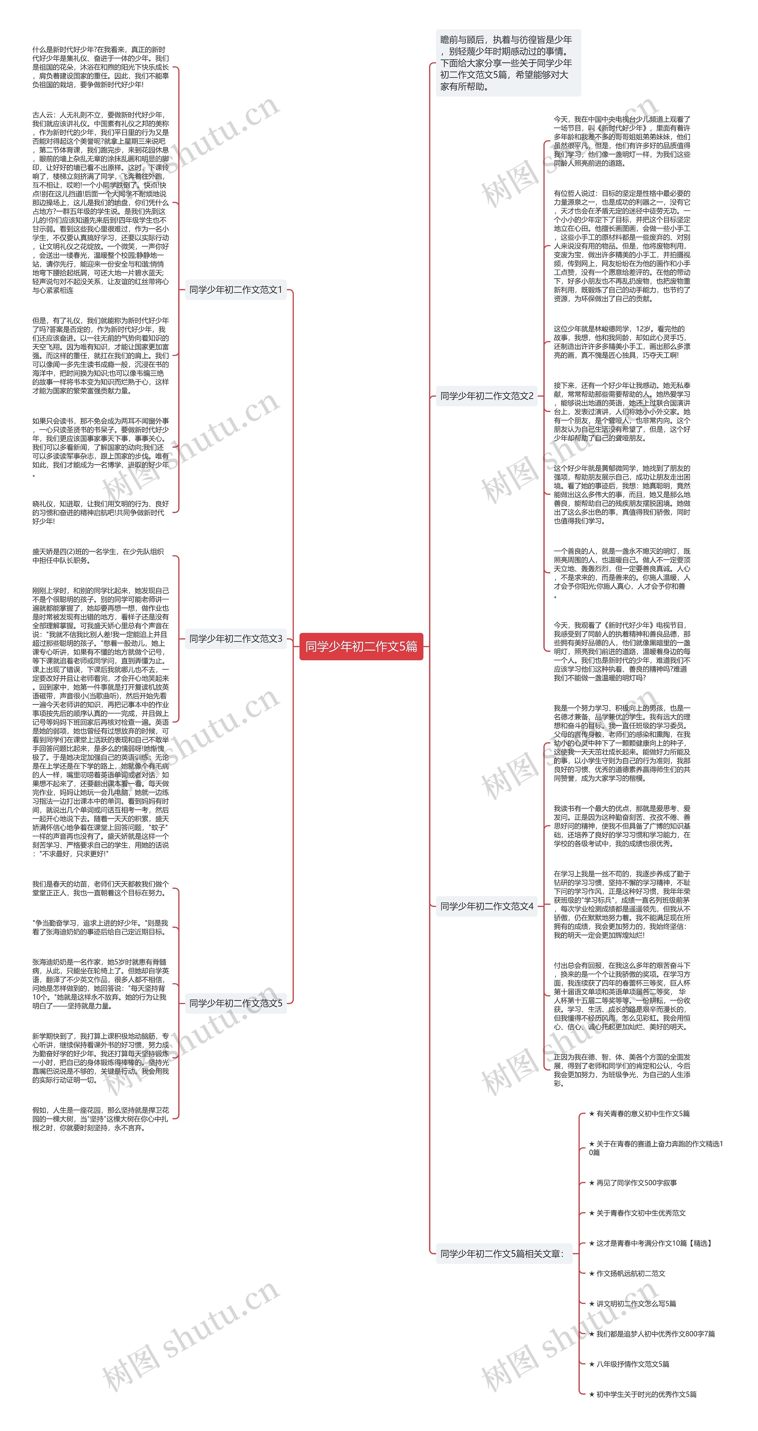 同学少年初二作文5篇思维导图