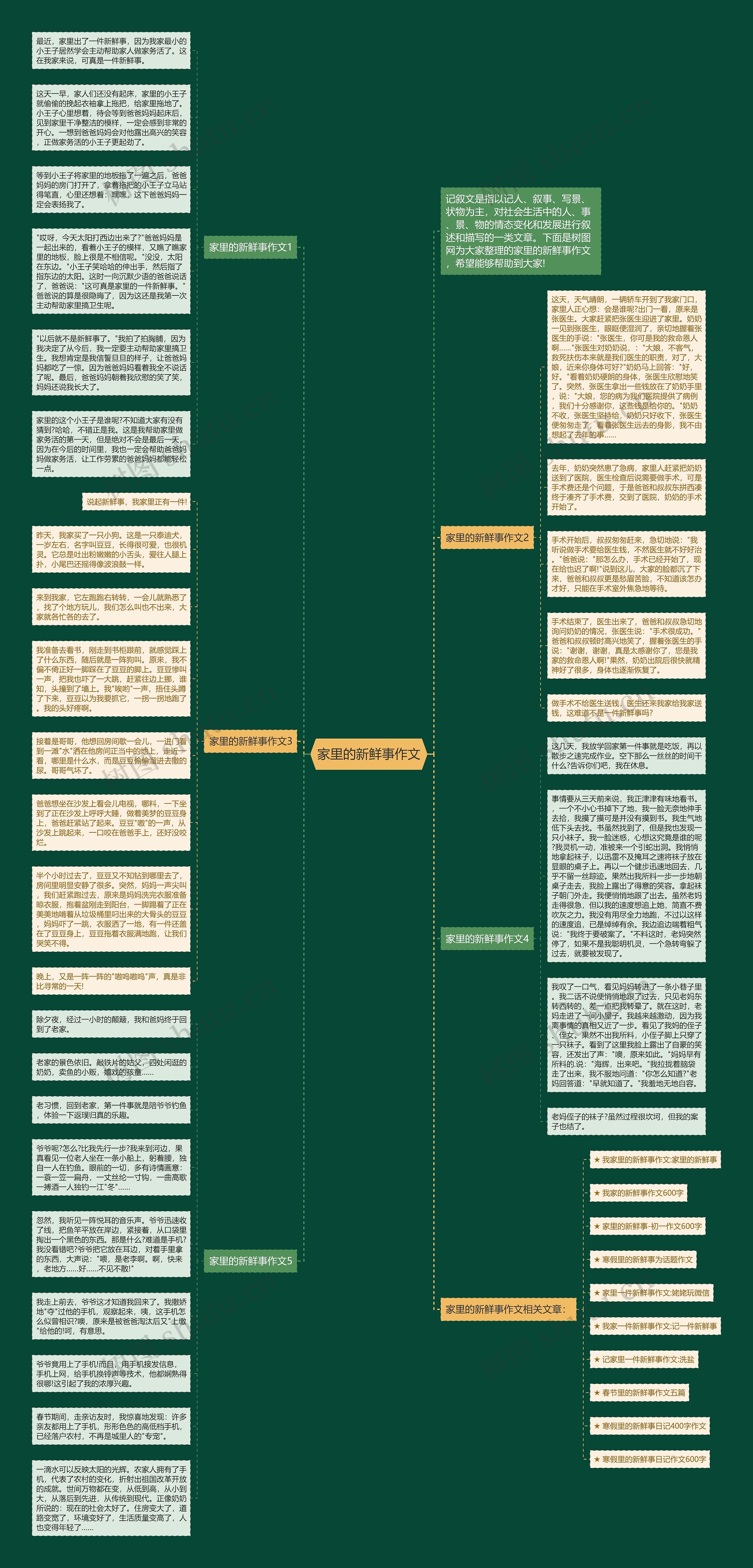 家里的新鲜事作文思维导图