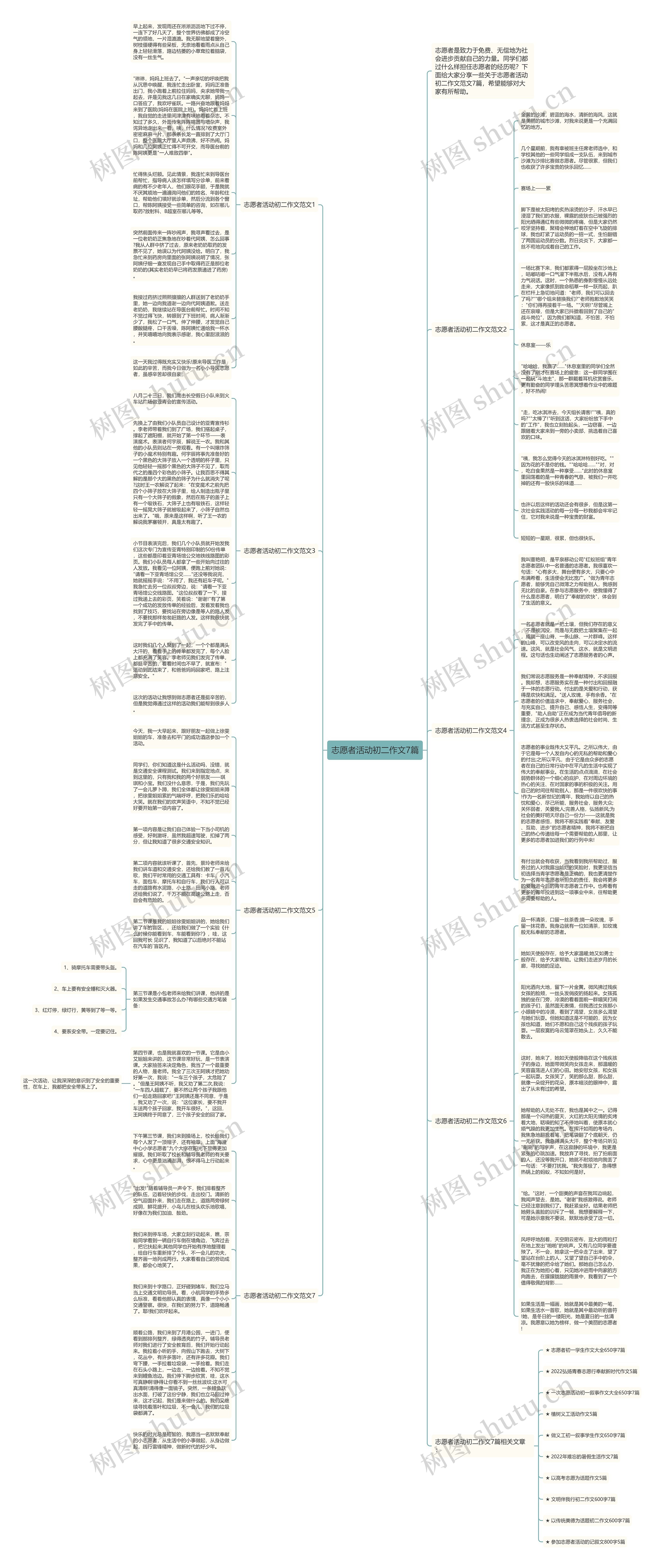 志愿者活动初二作文7篇