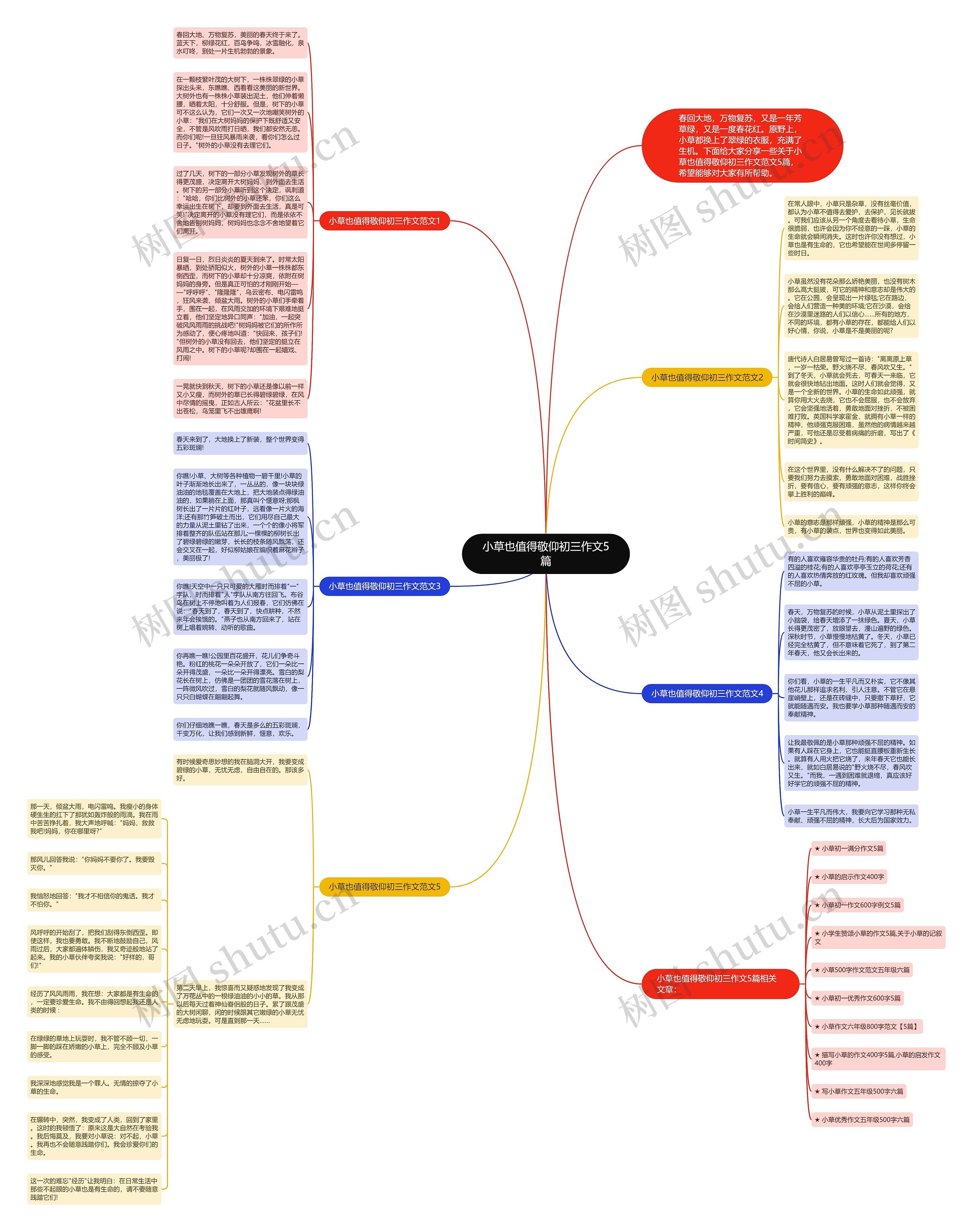 小草也值得敬仰初三作文5篇思维导图