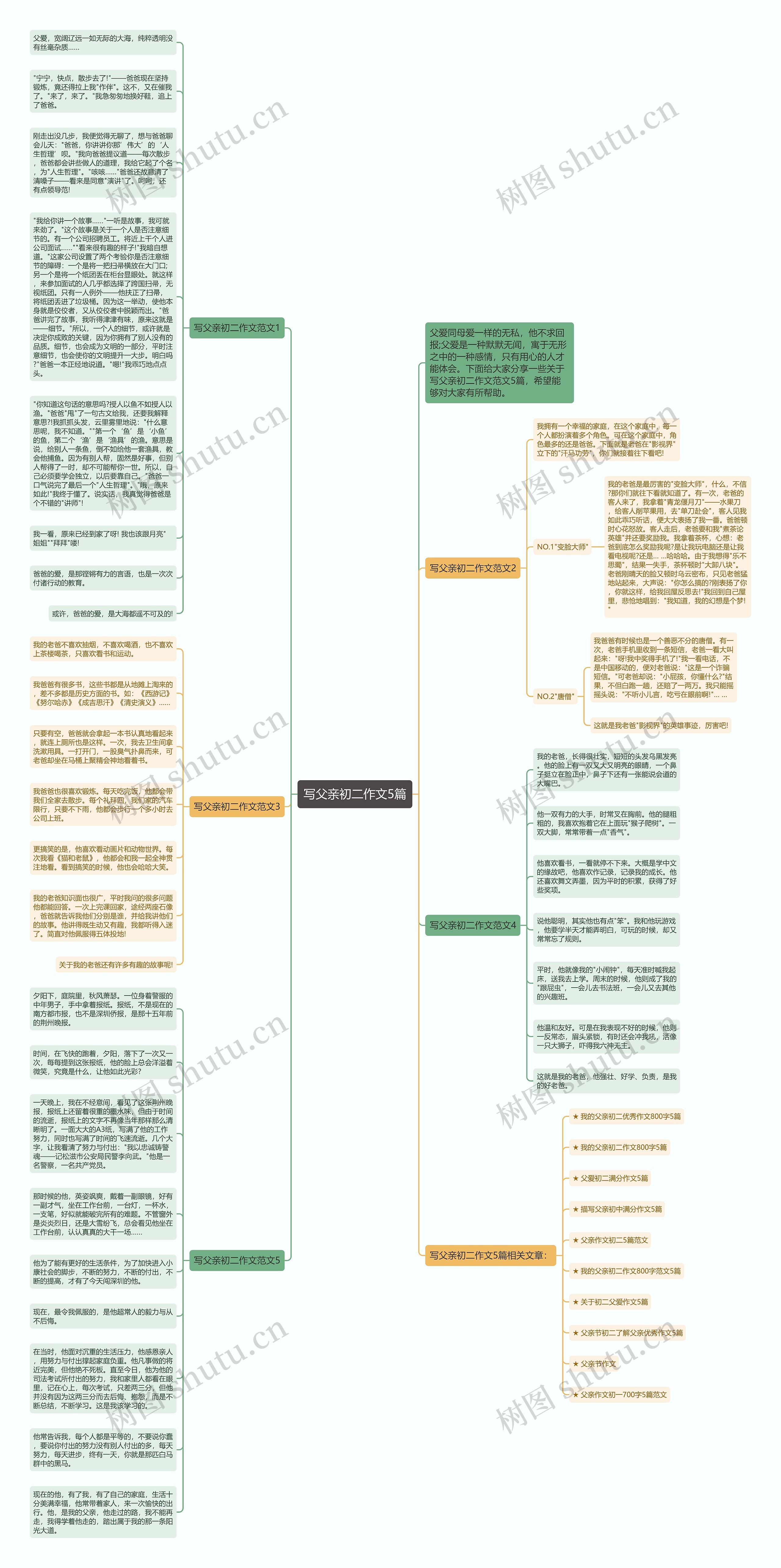 写父亲初二作文5篇思维导图