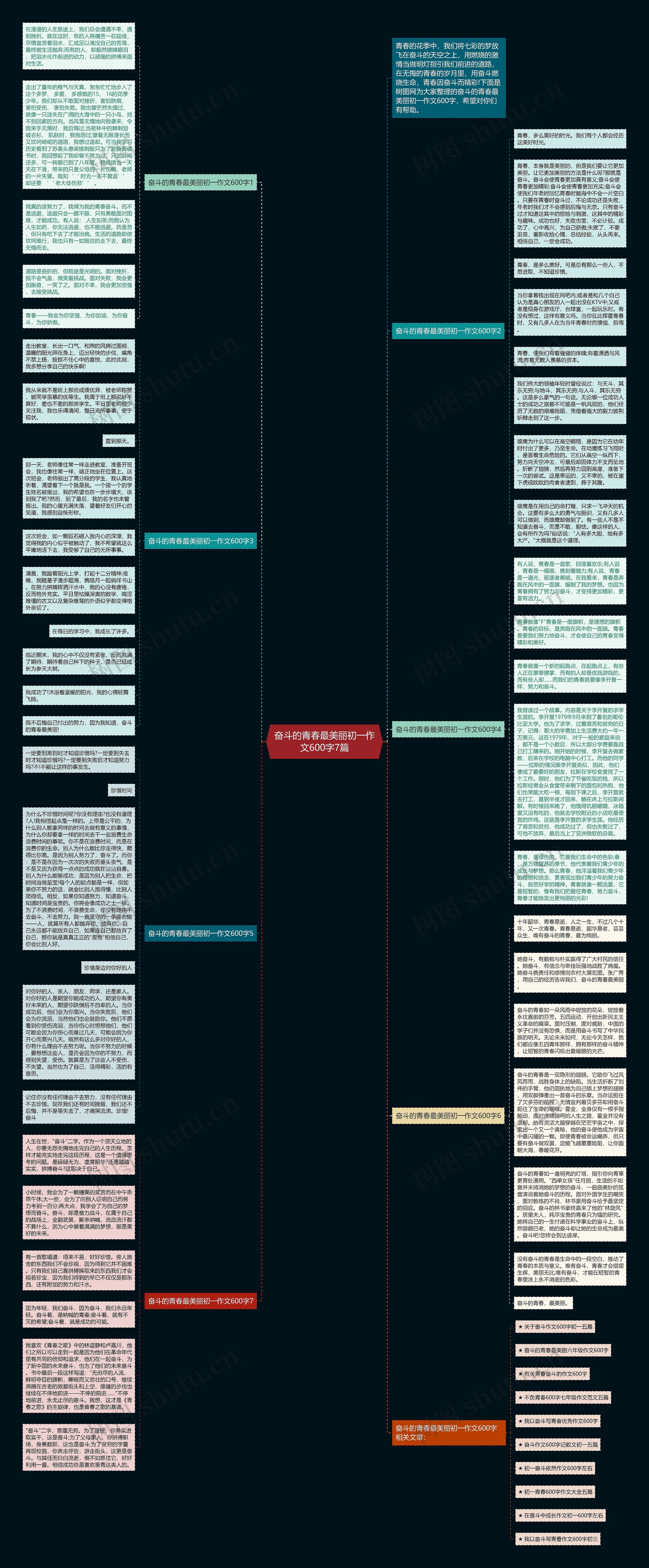 奋斗的青春最美丽初一作文600字7篇思维导图