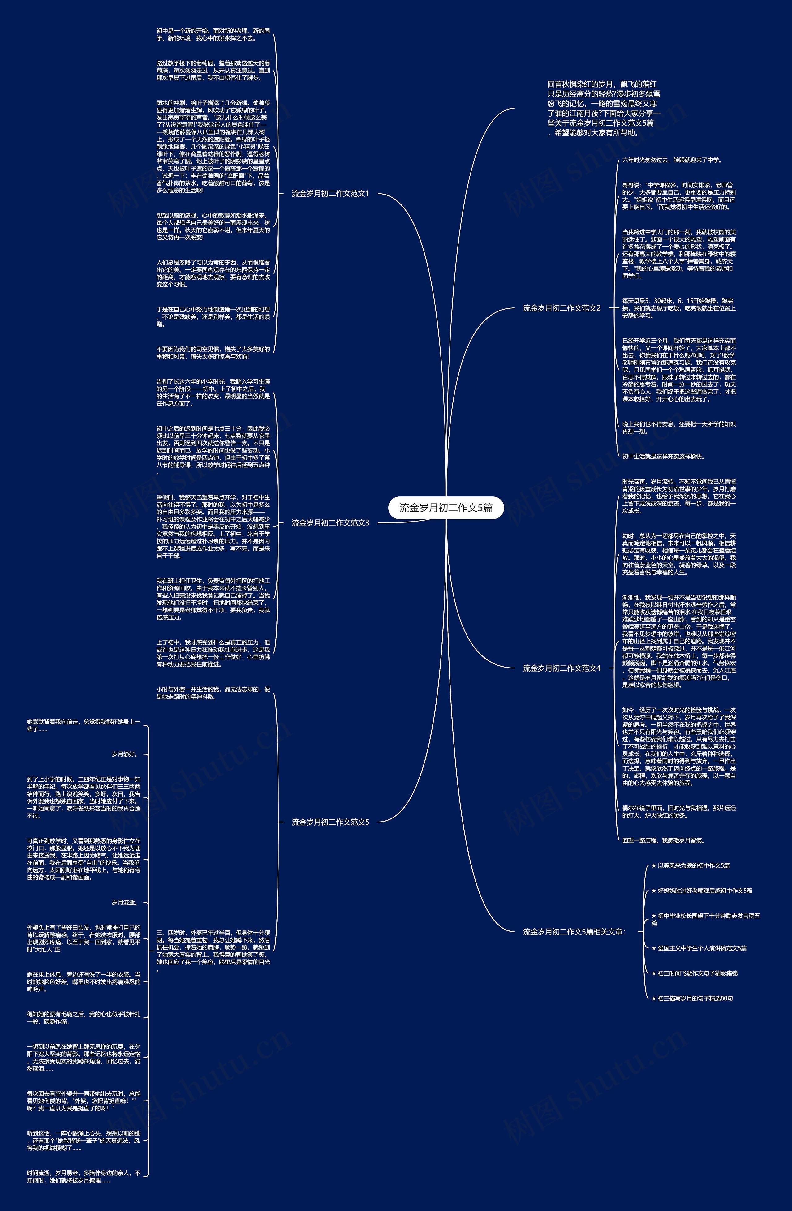 流金岁月初二作文5篇思维导图