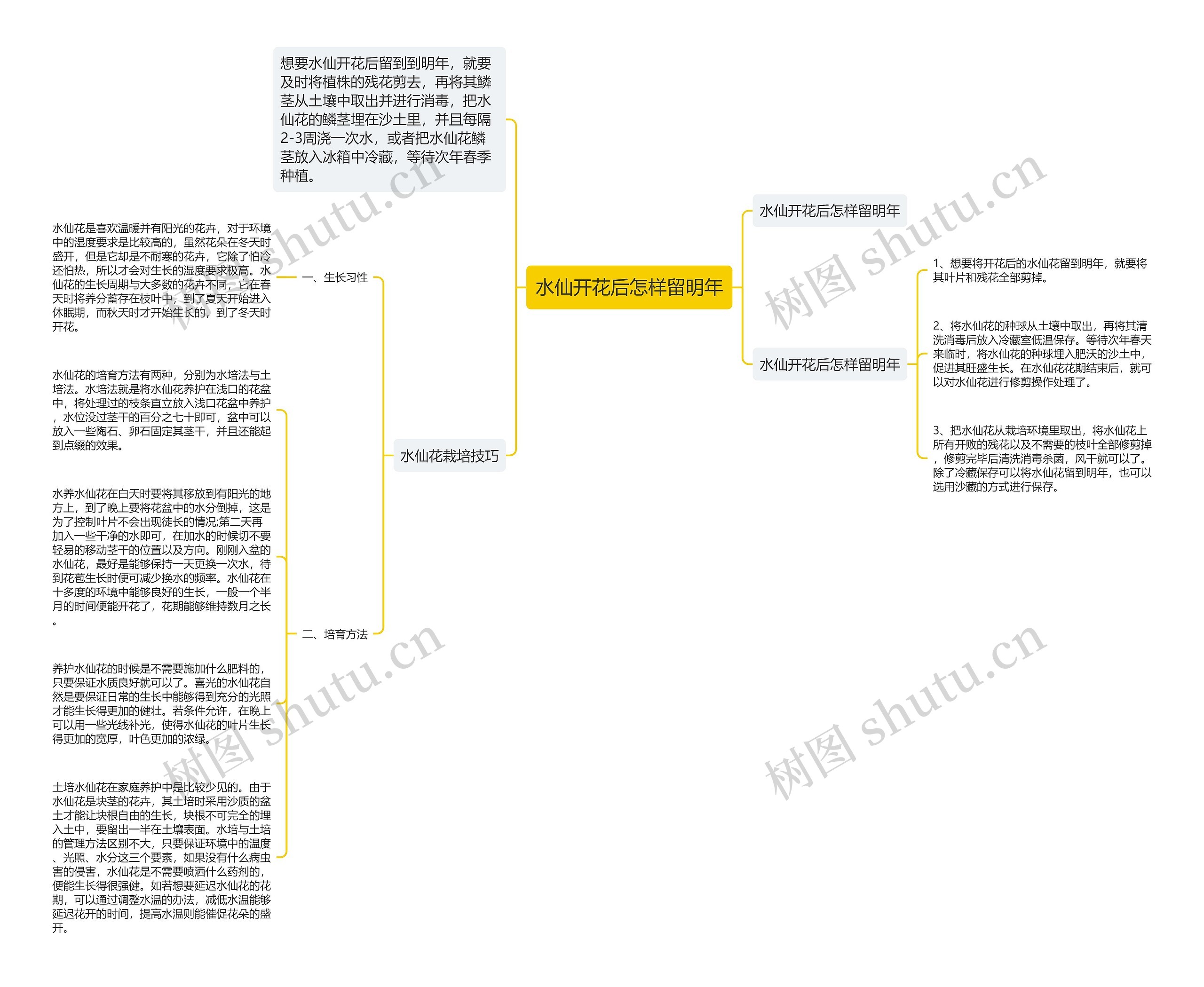 水仙开花后怎样留明年思维导图