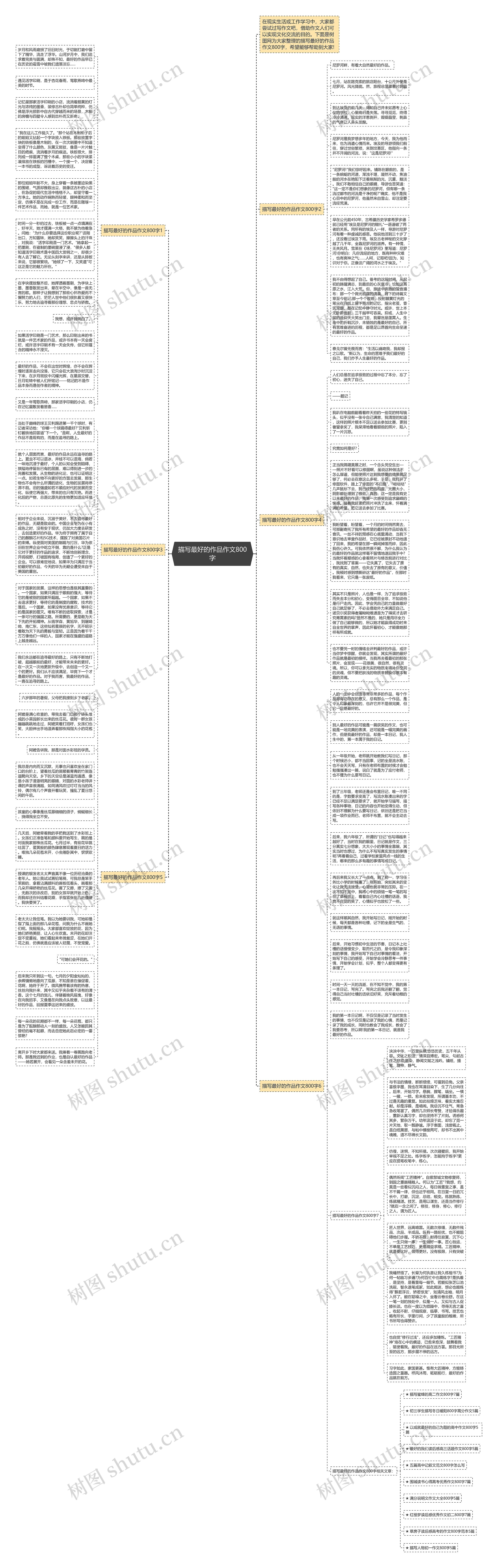描写最好的作品作文800字思维导图