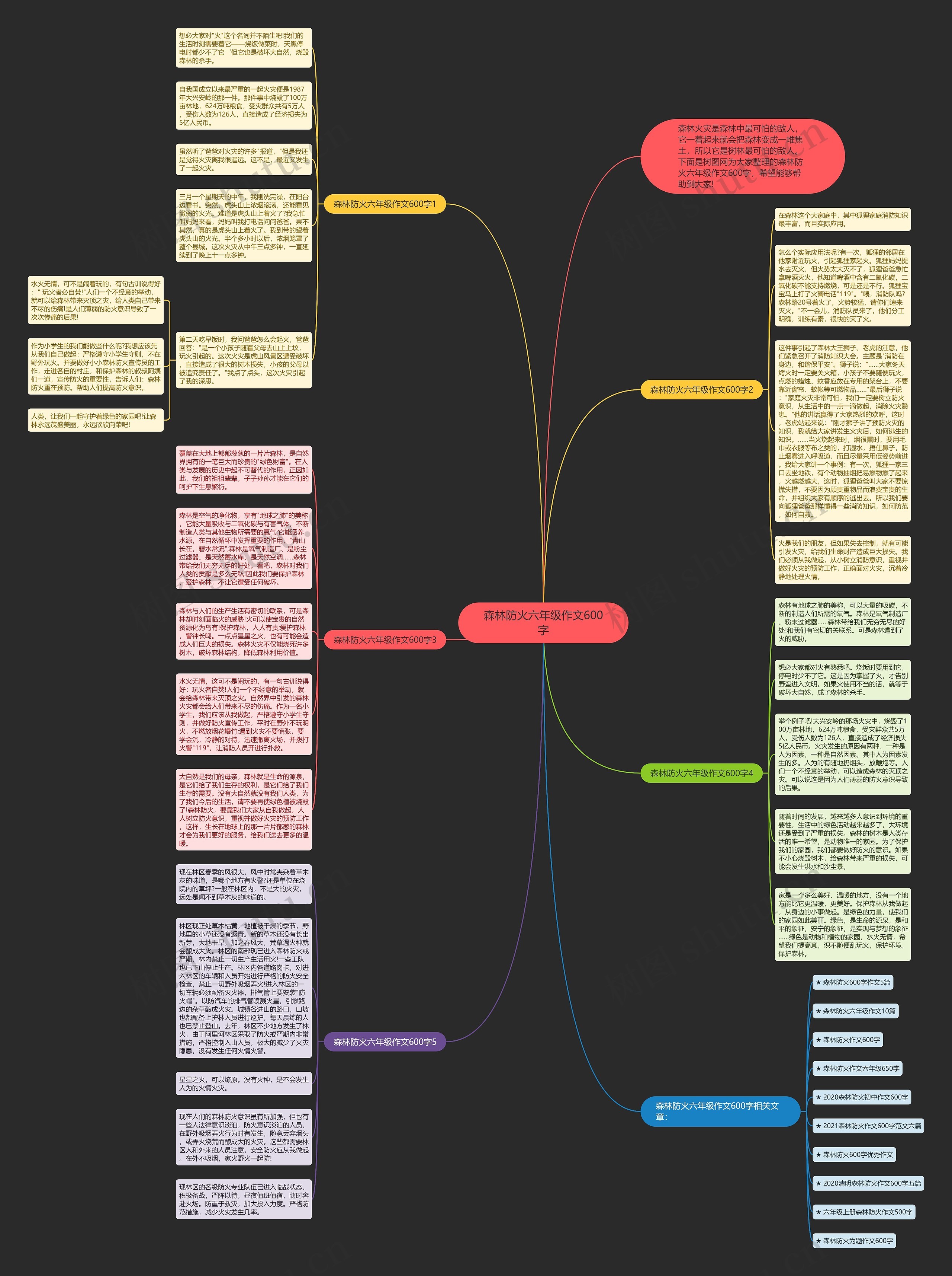 森林防火六年级作文600字思维导图