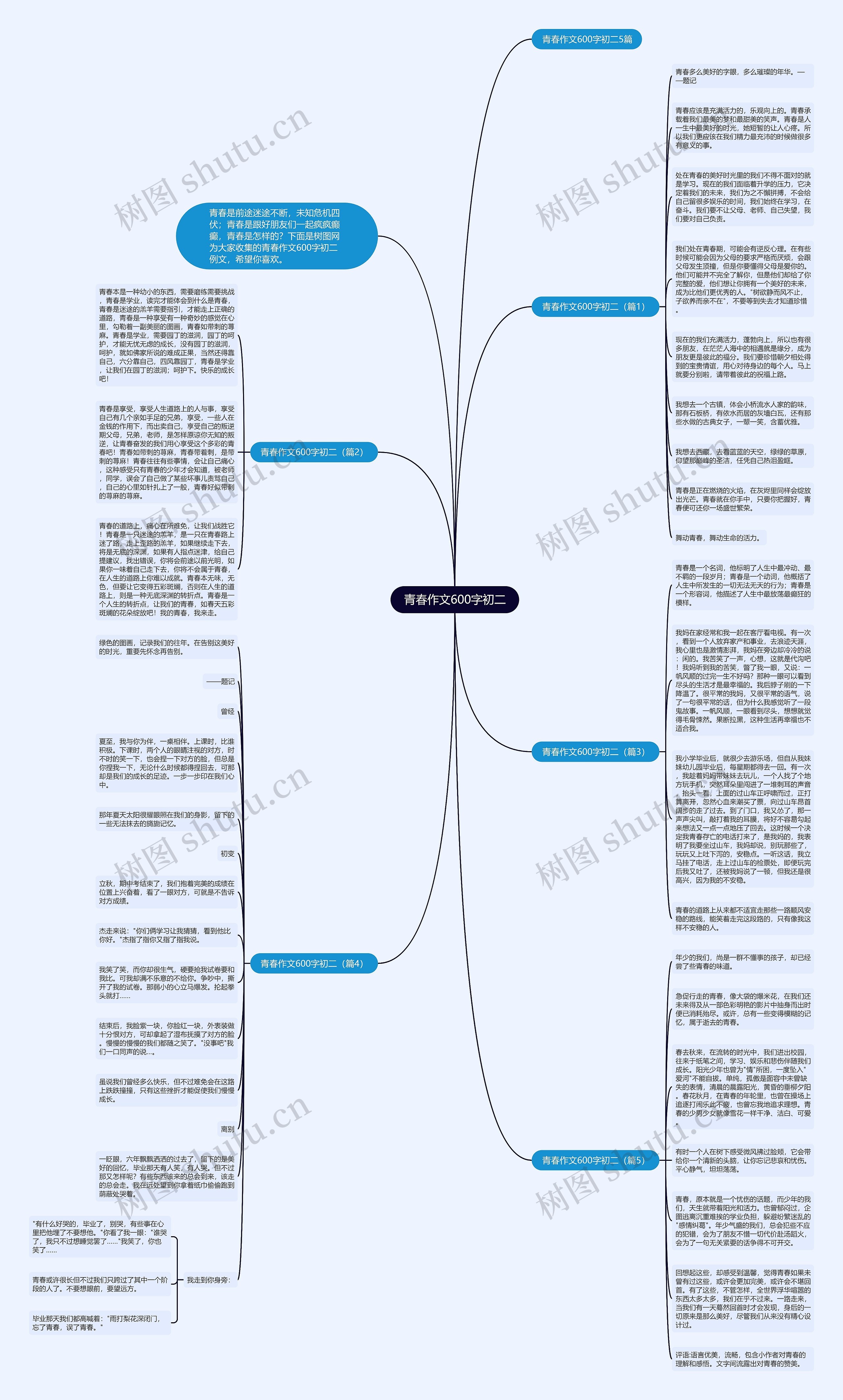 青春作文600字初二思维导图