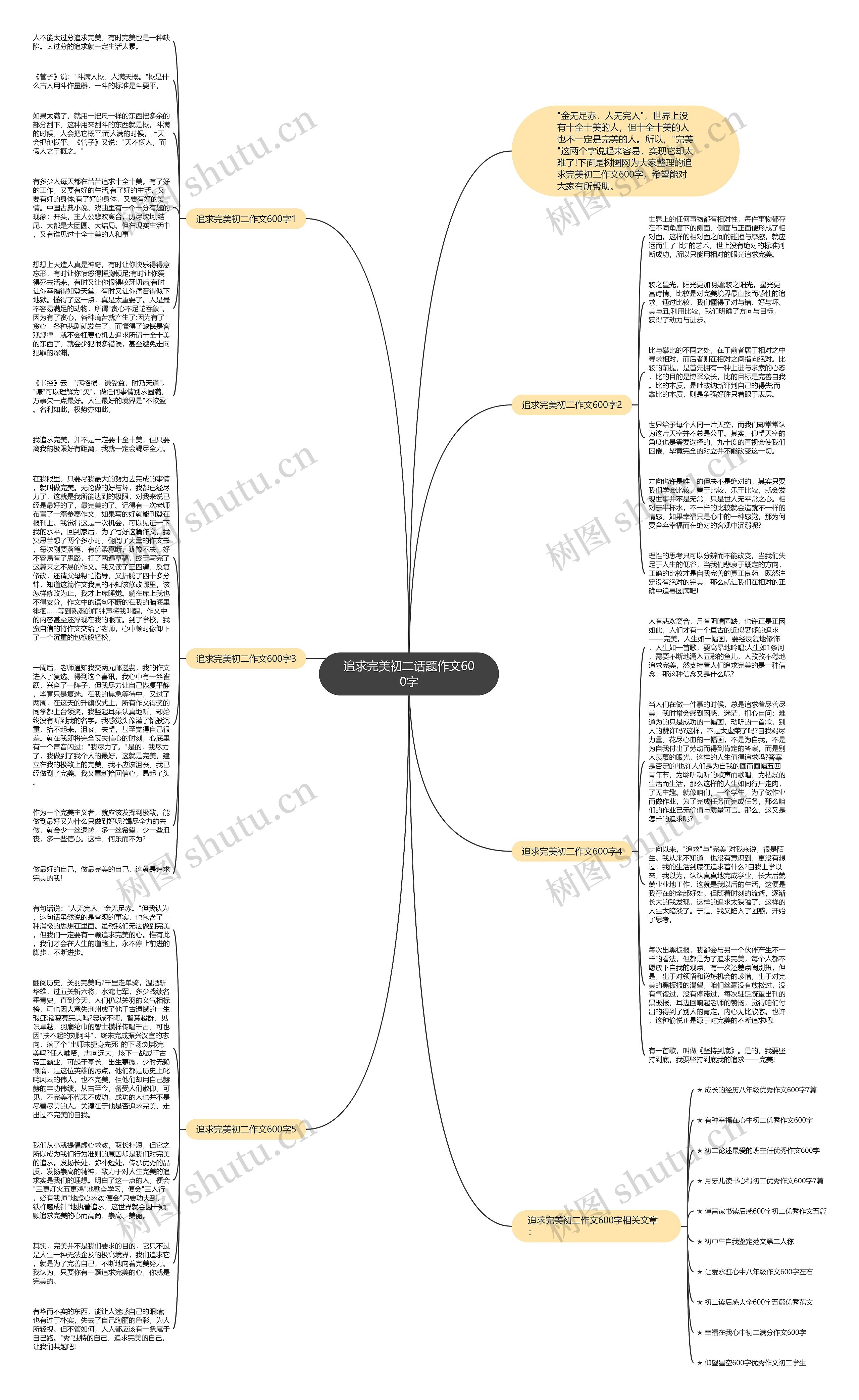 追求完美初二话题作文600字思维导图