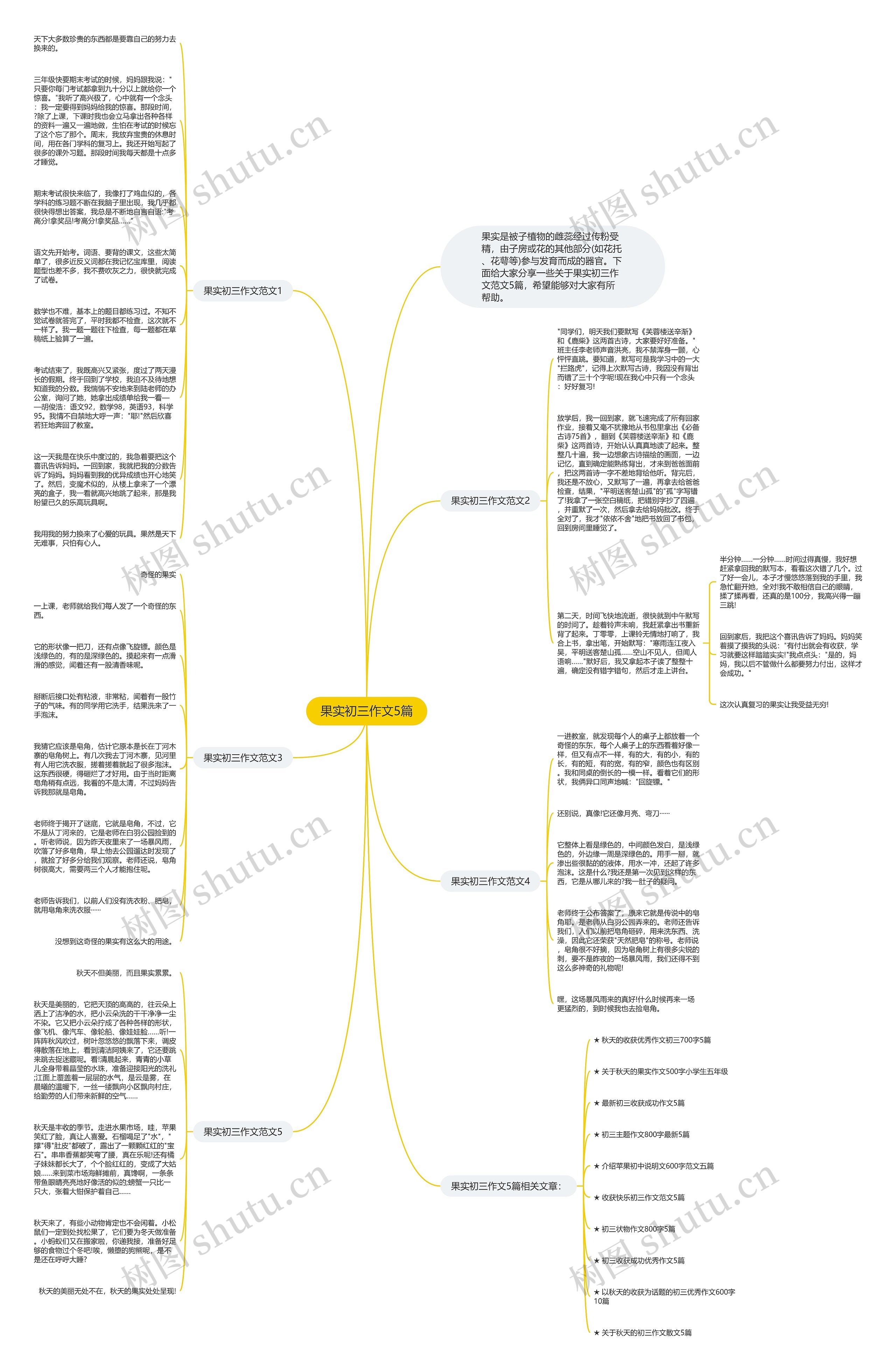 果实初三作文5篇思维导图