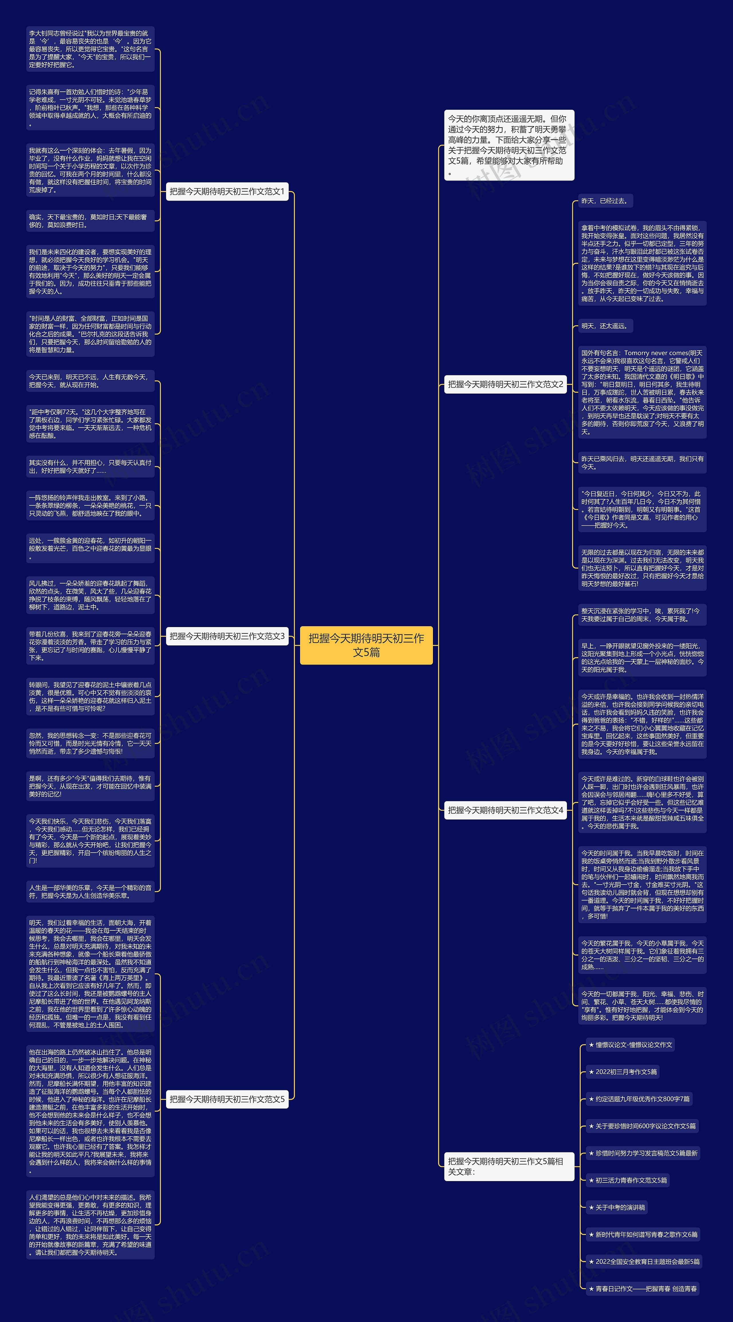 把握今天期待明天初三作文5篇思维导图