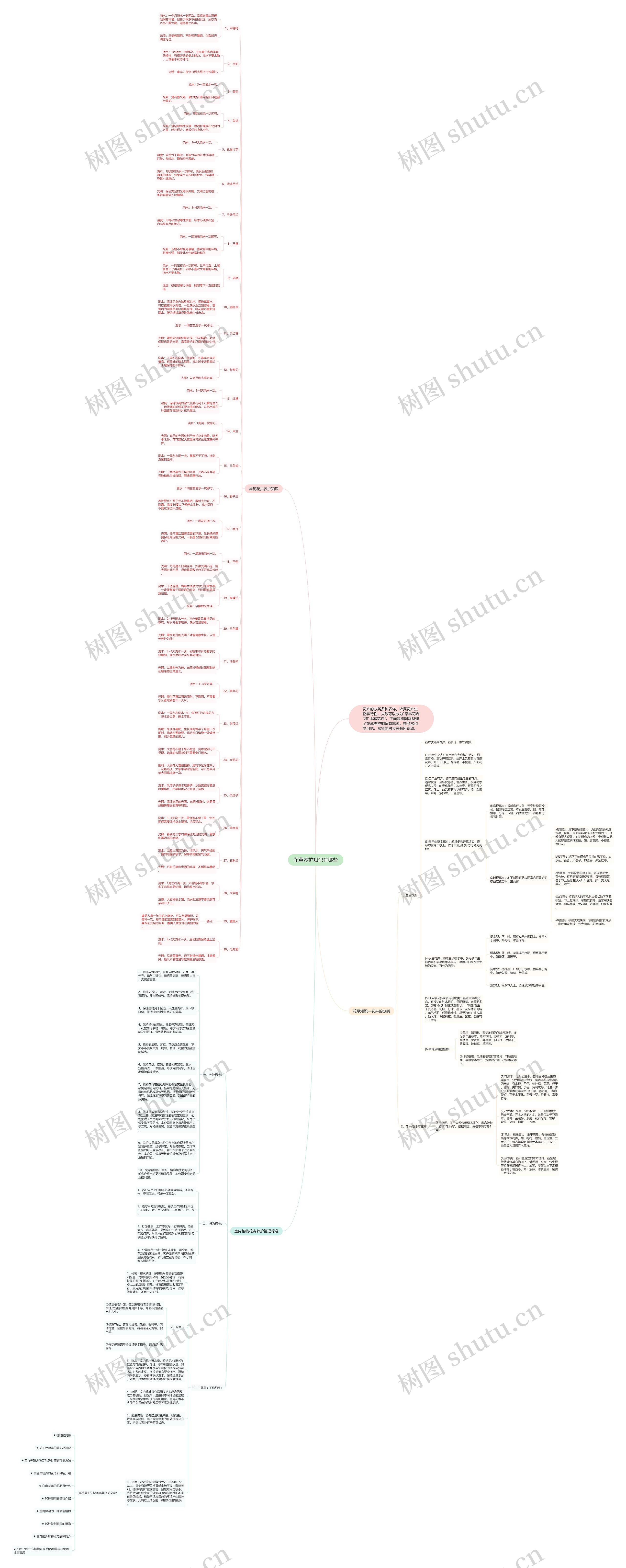 花草养护知识有哪些思维导图