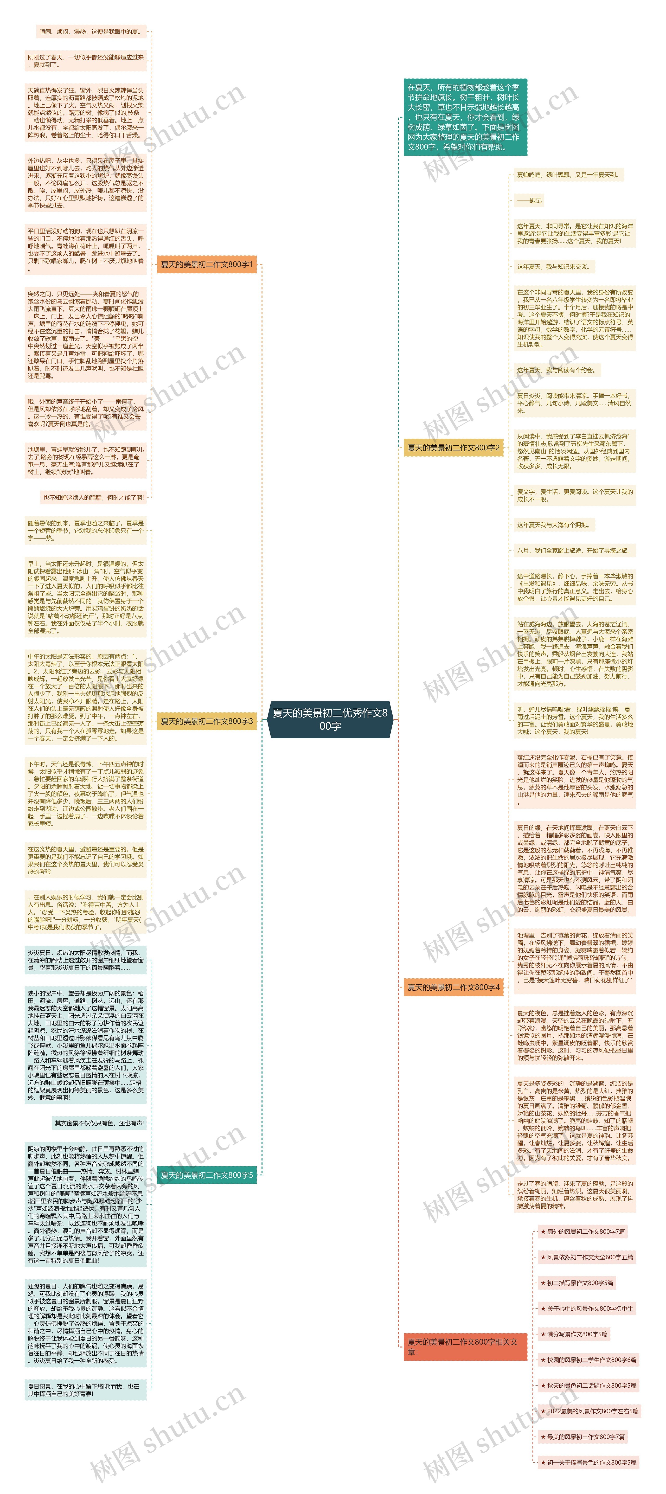 夏天的美景初二优秀作文800字思维导图