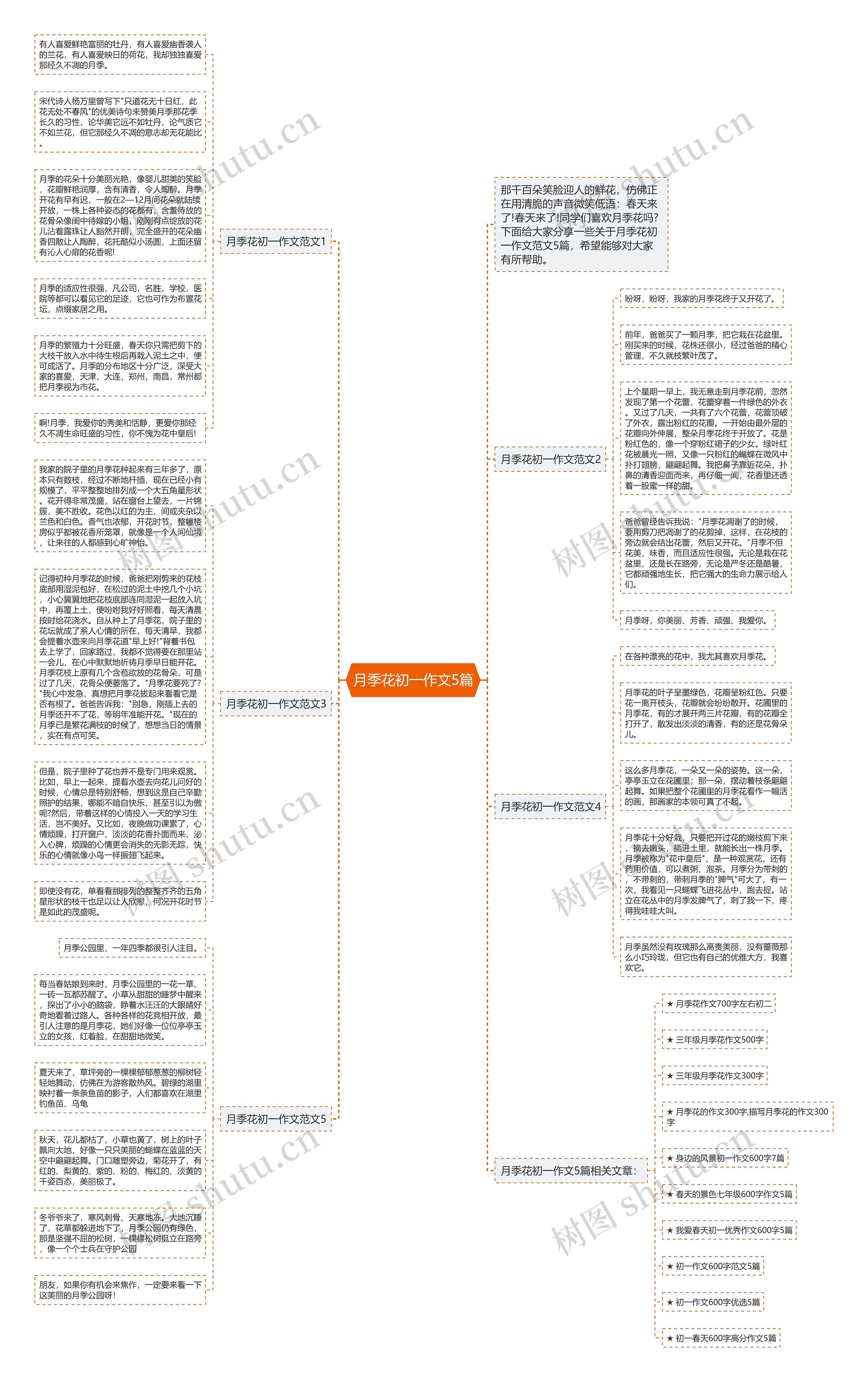 月季花初一作文5篇思维导图