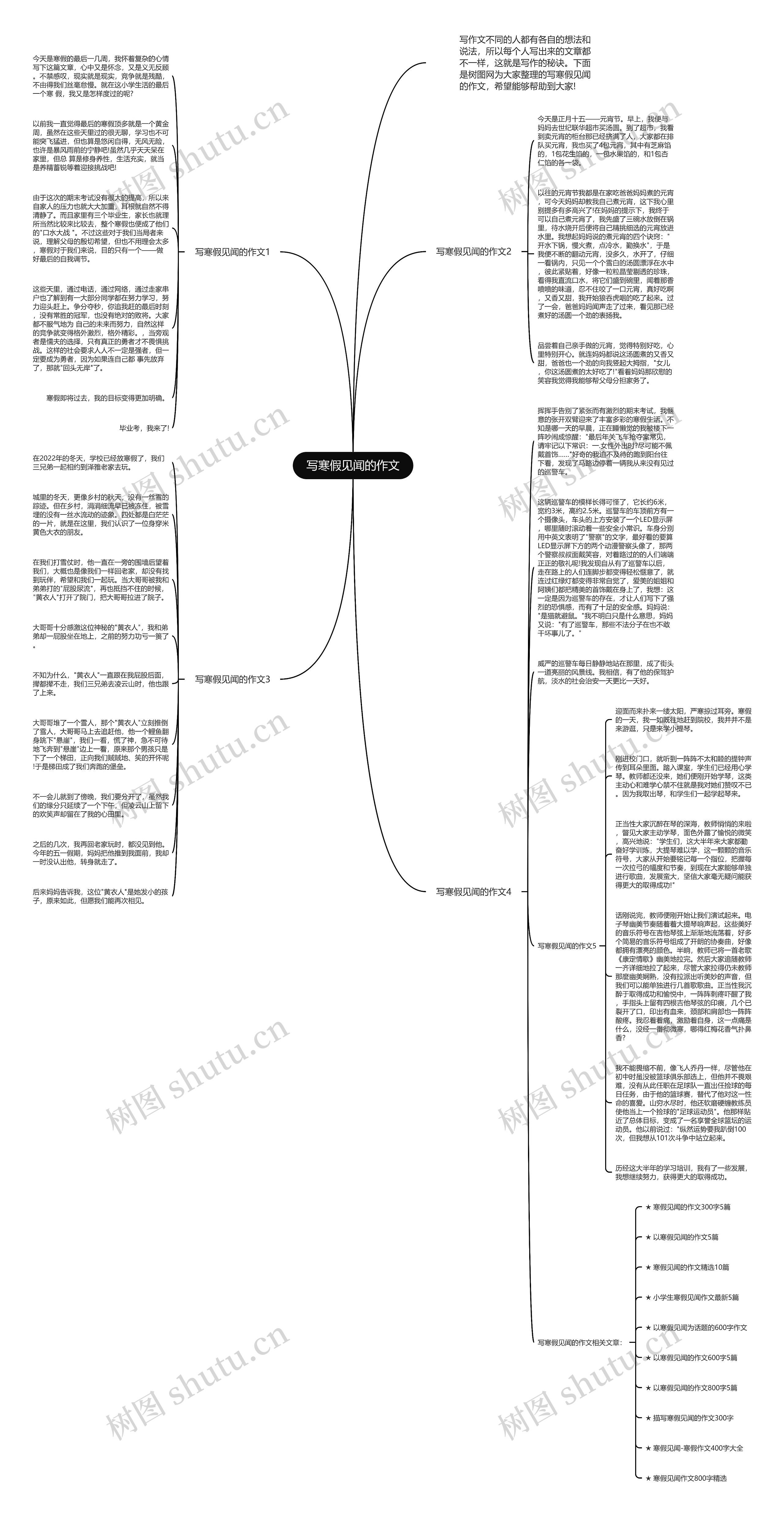写寒假见闻的作文思维导图