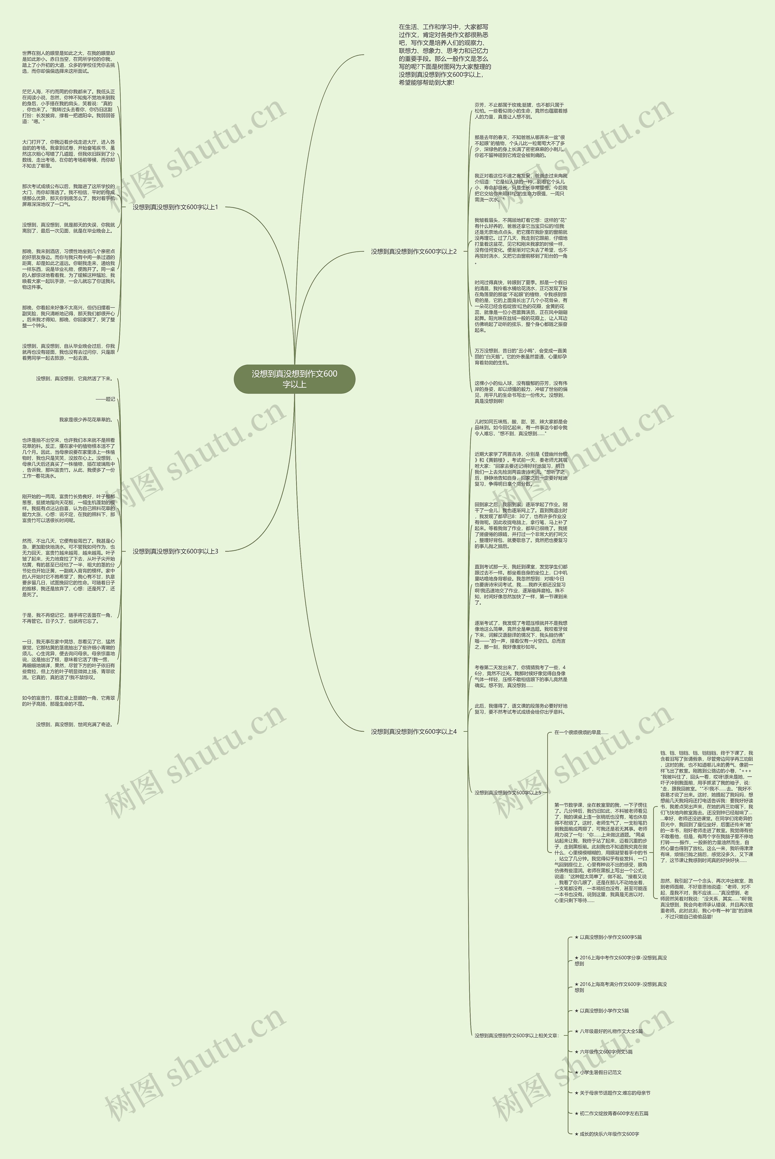 没想到真没想到作文600字以上思维导图