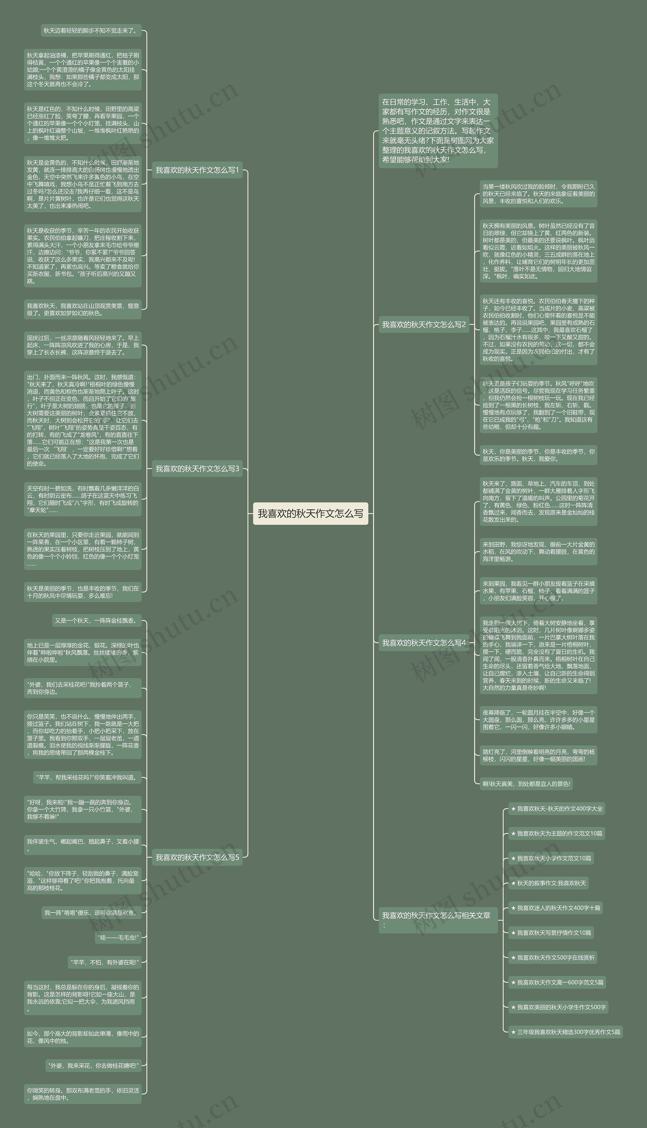 我喜欢的秋天作文怎么写思维导图