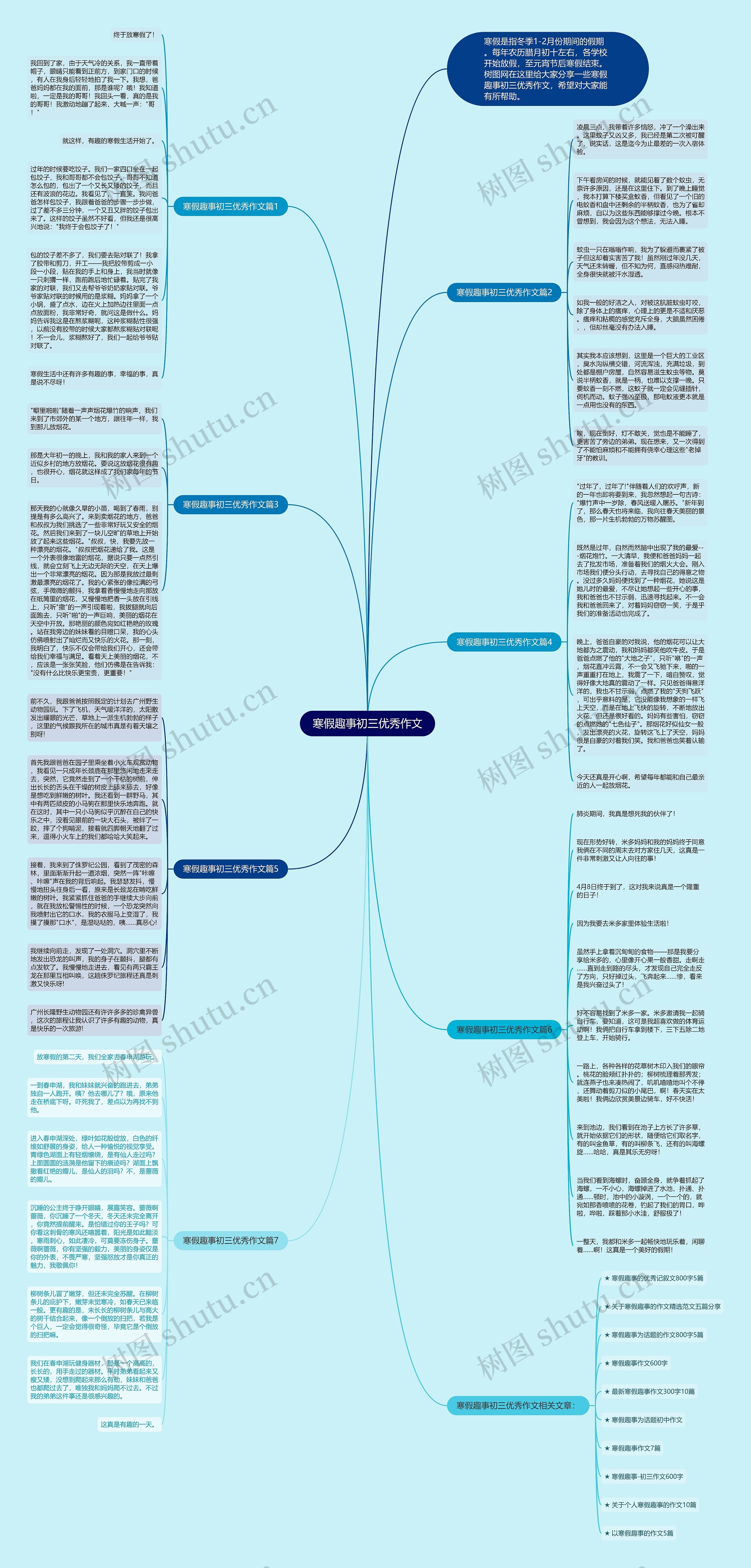 寒假趣事初三优秀作文思维导图