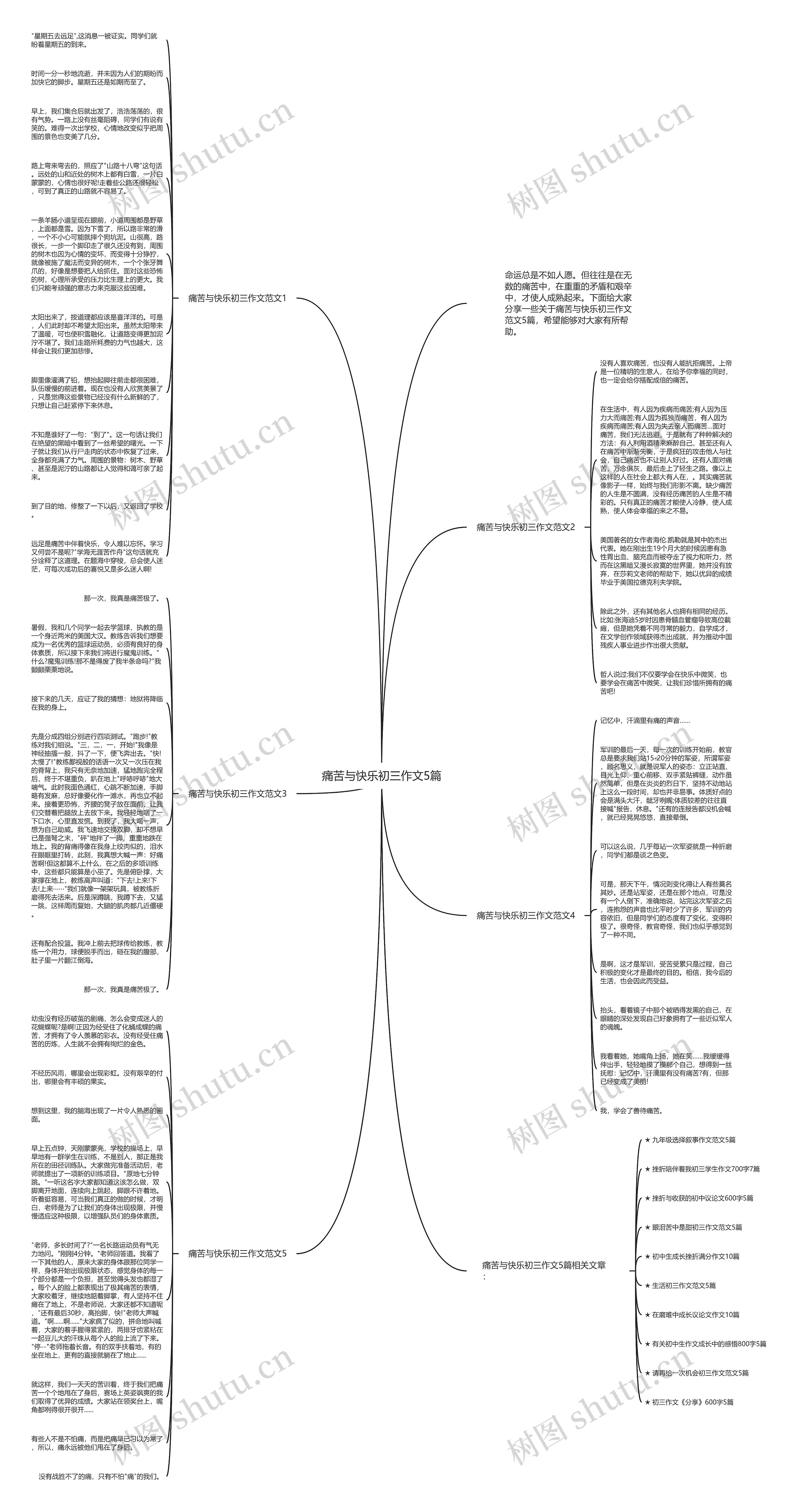 痛苦与快乐初三作文5篇思维导图高清图 痛苦与快乐初三作文5篇思维导图