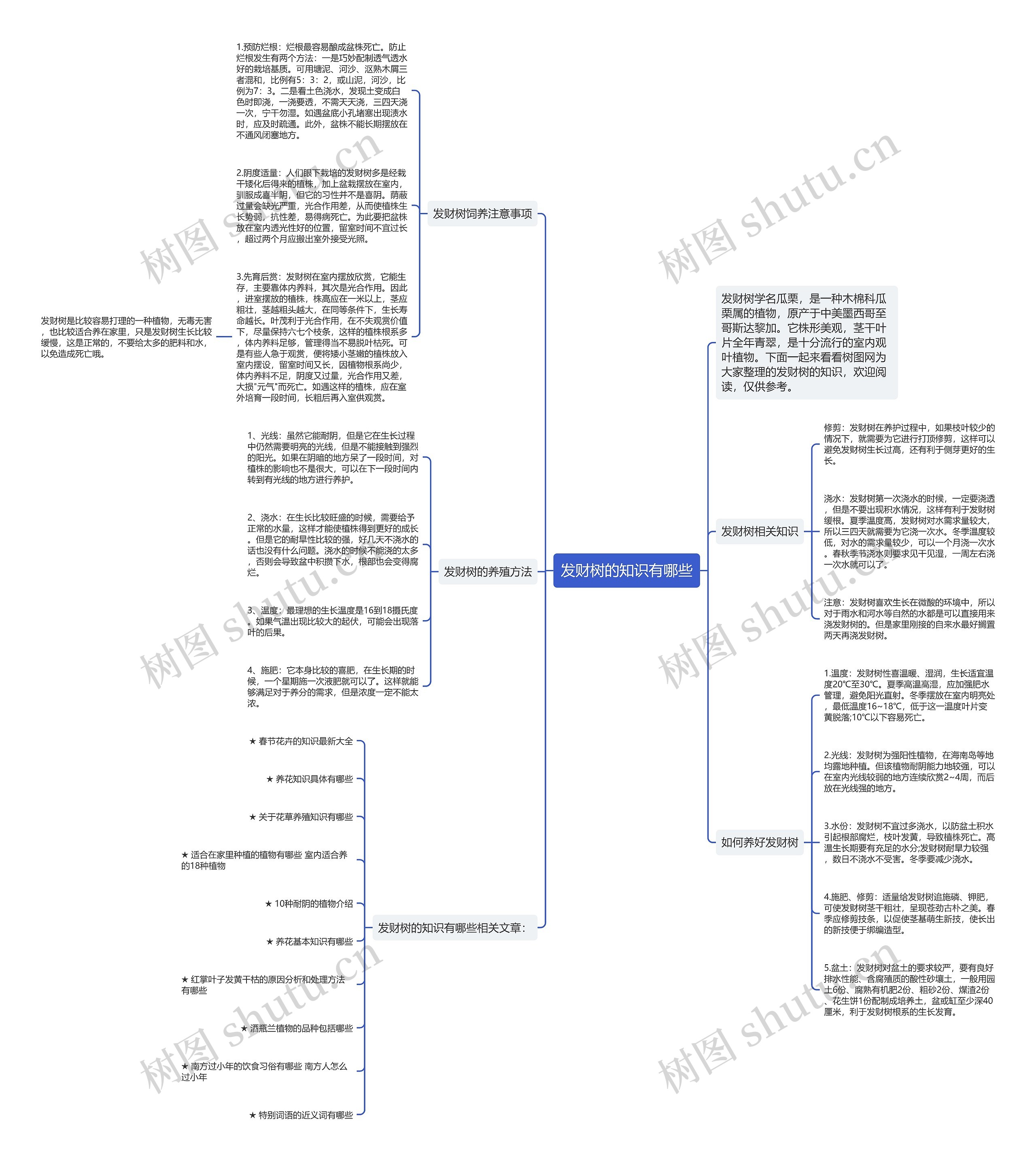 发财树的知识有哪些思维导图