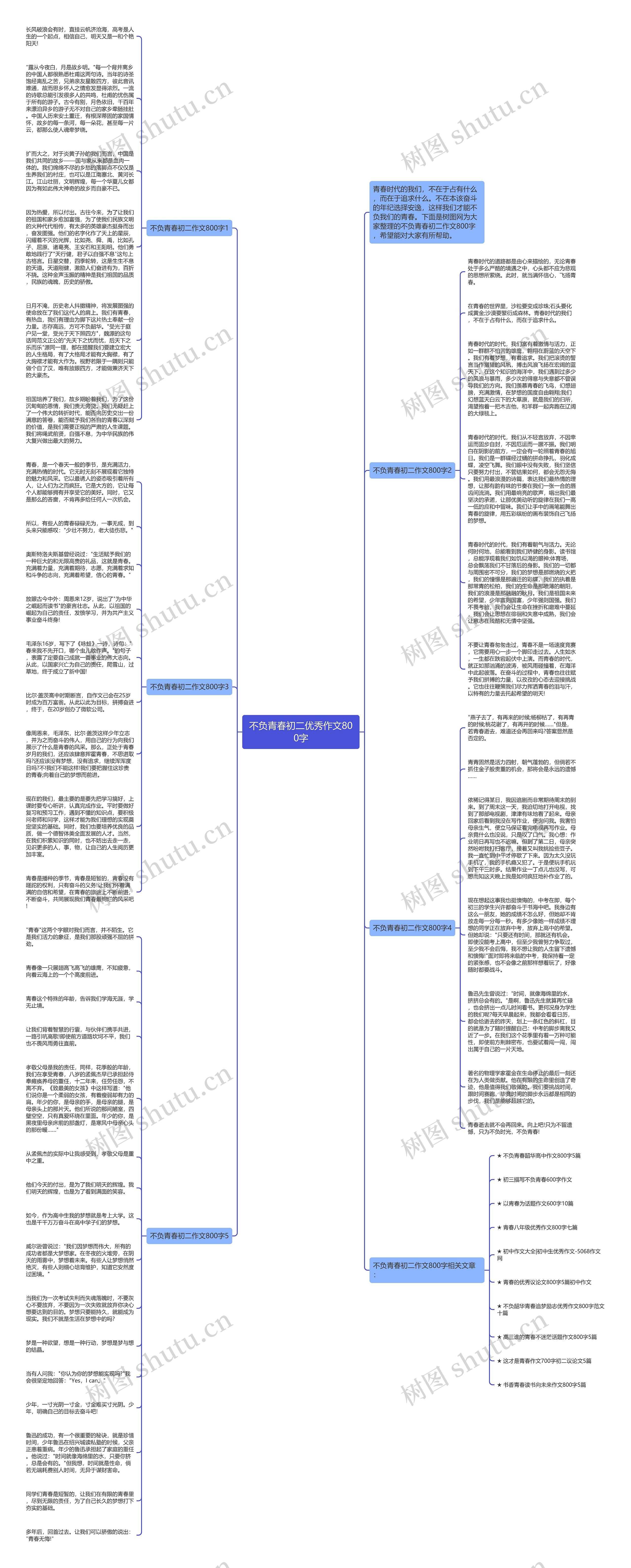 不负青春初二优秀作文800字思维导图