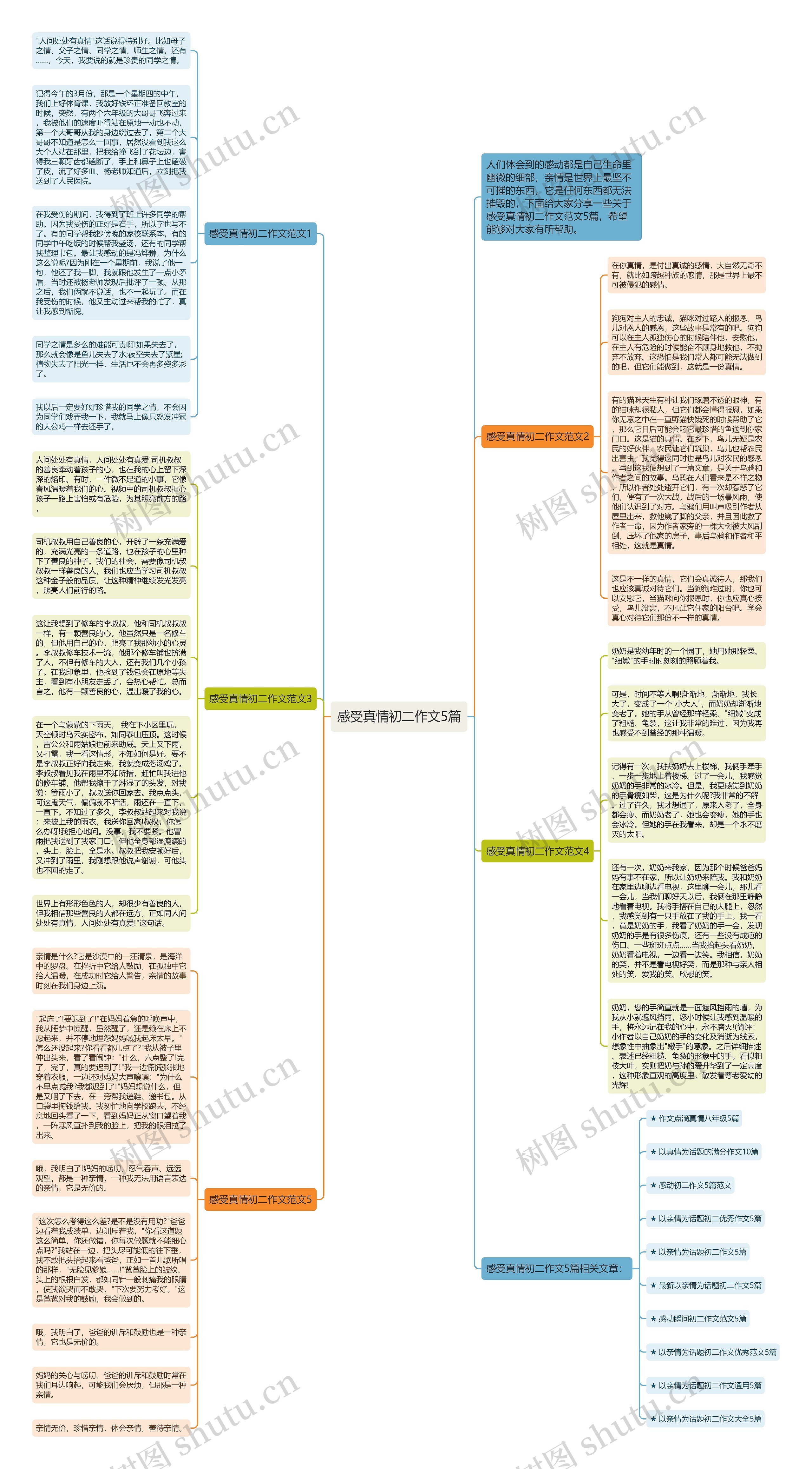 感受真情初二作文5篇思维导图