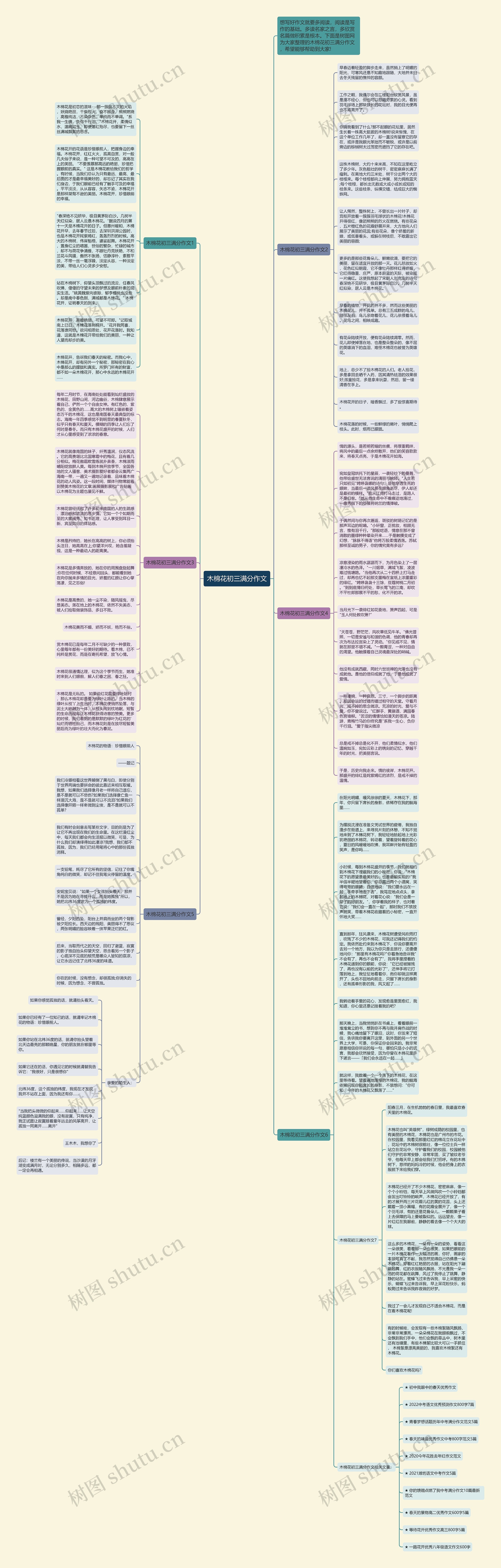 木棉花初三满分作文思维导图