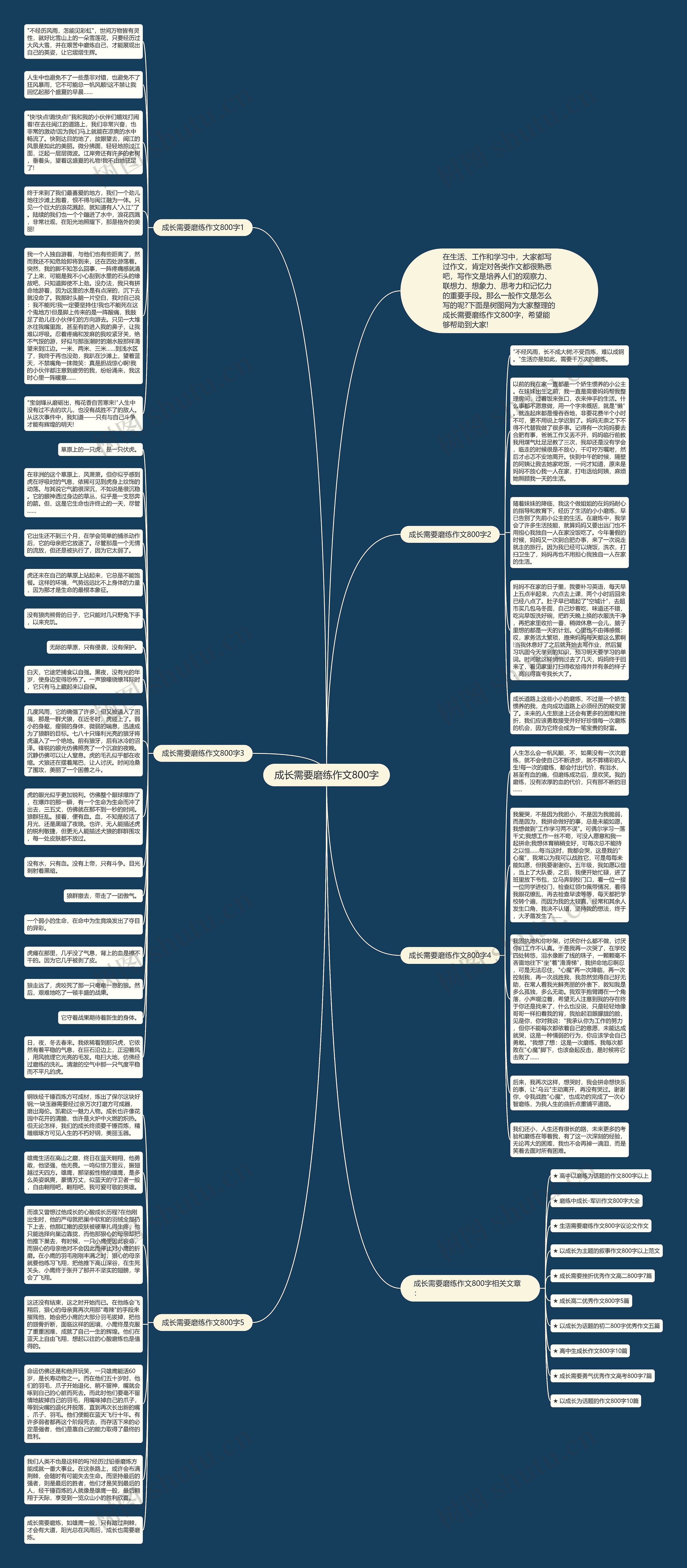 成长需要磨练作文800字思维导图