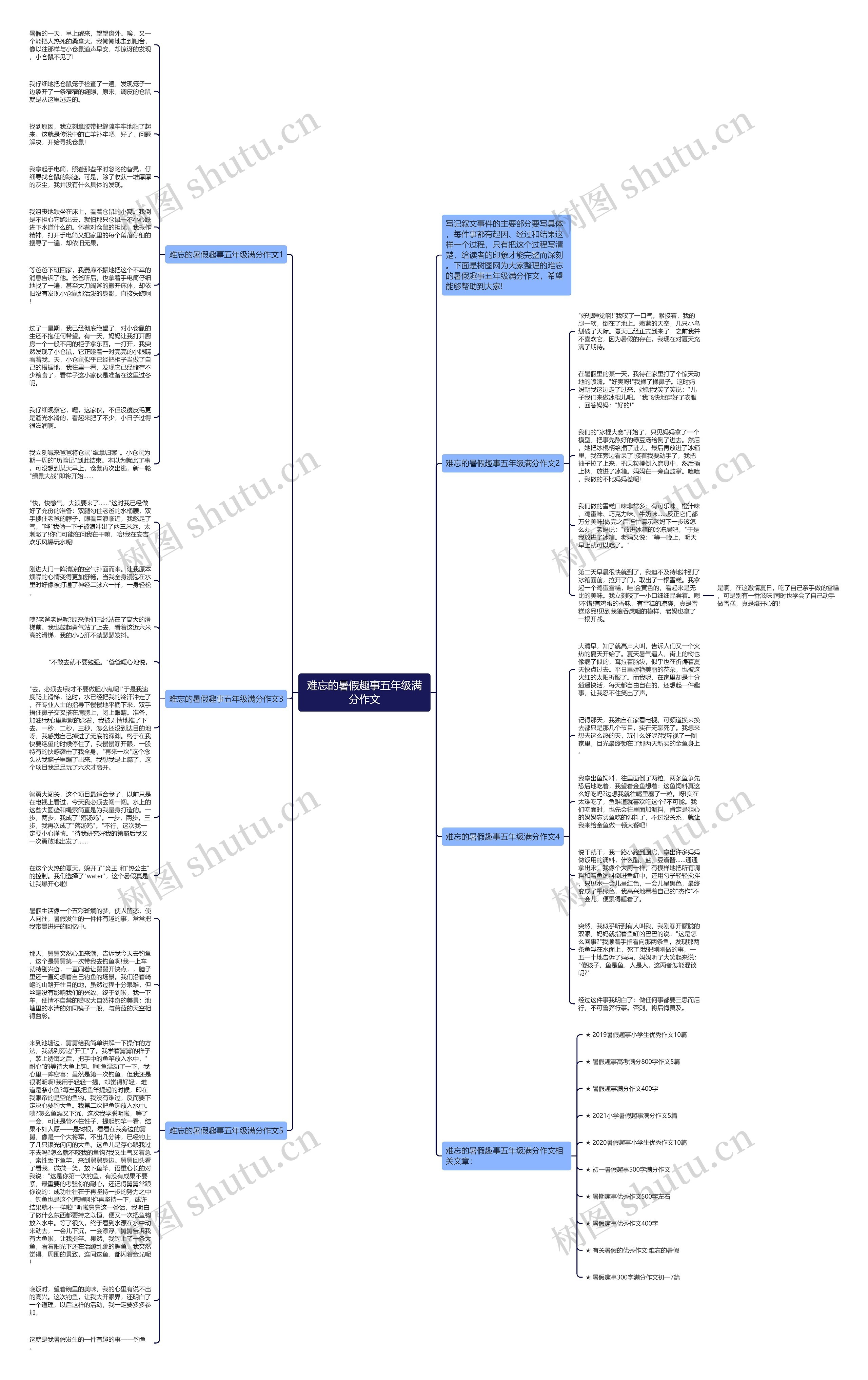难忘的暑假趣事五年级满分作文思维导图