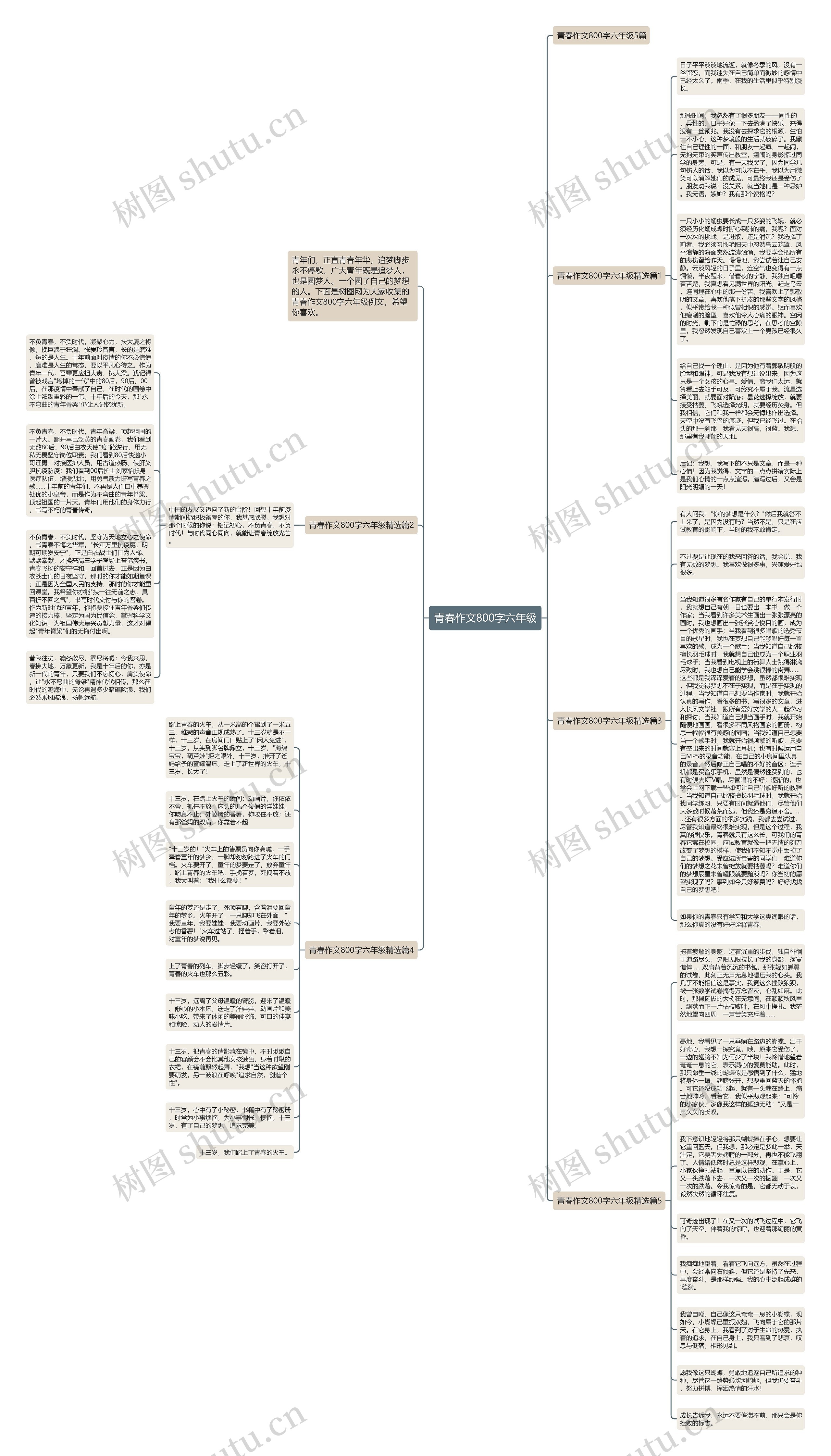 青春作文800字六年级思维导图