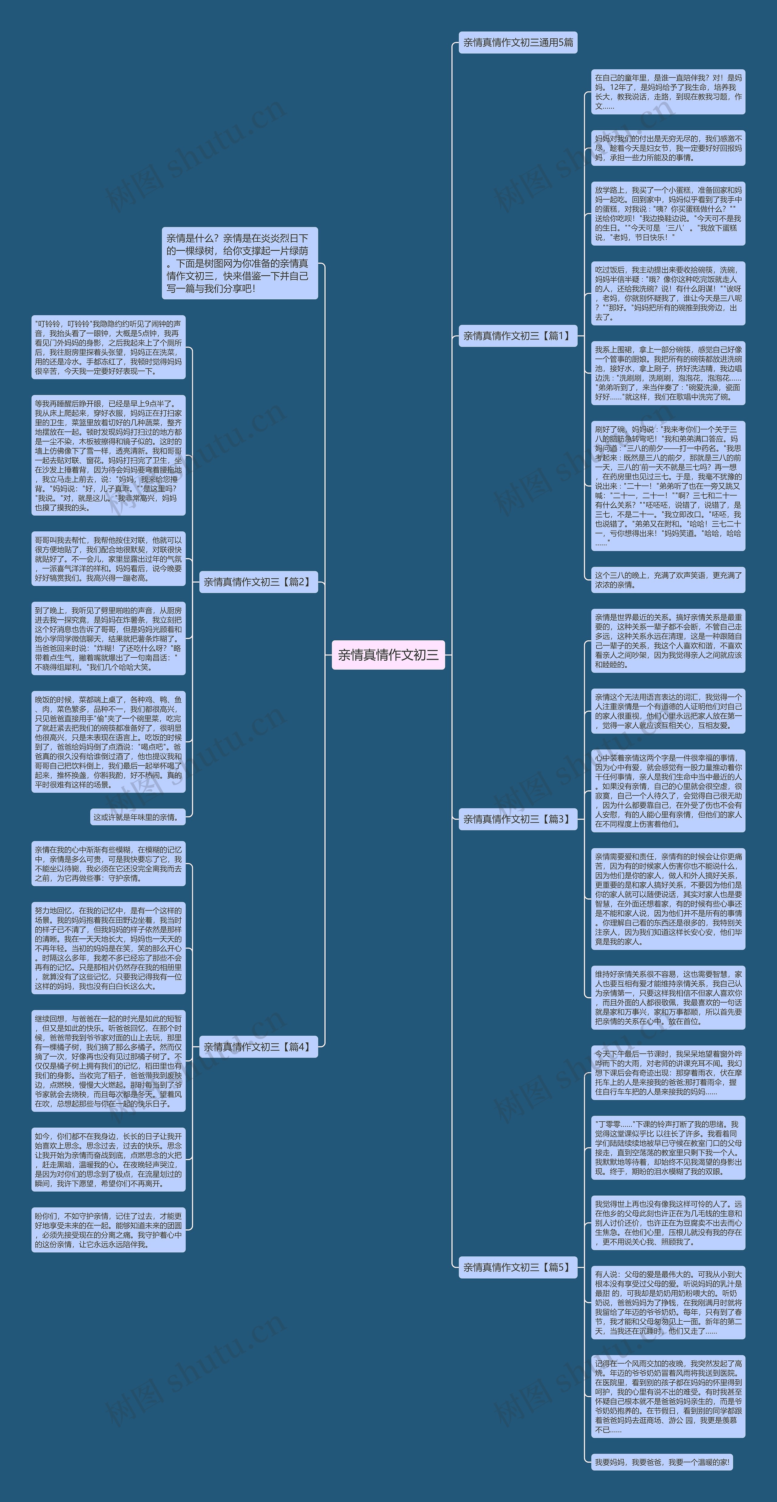 亲情真情作文初三思维导图
