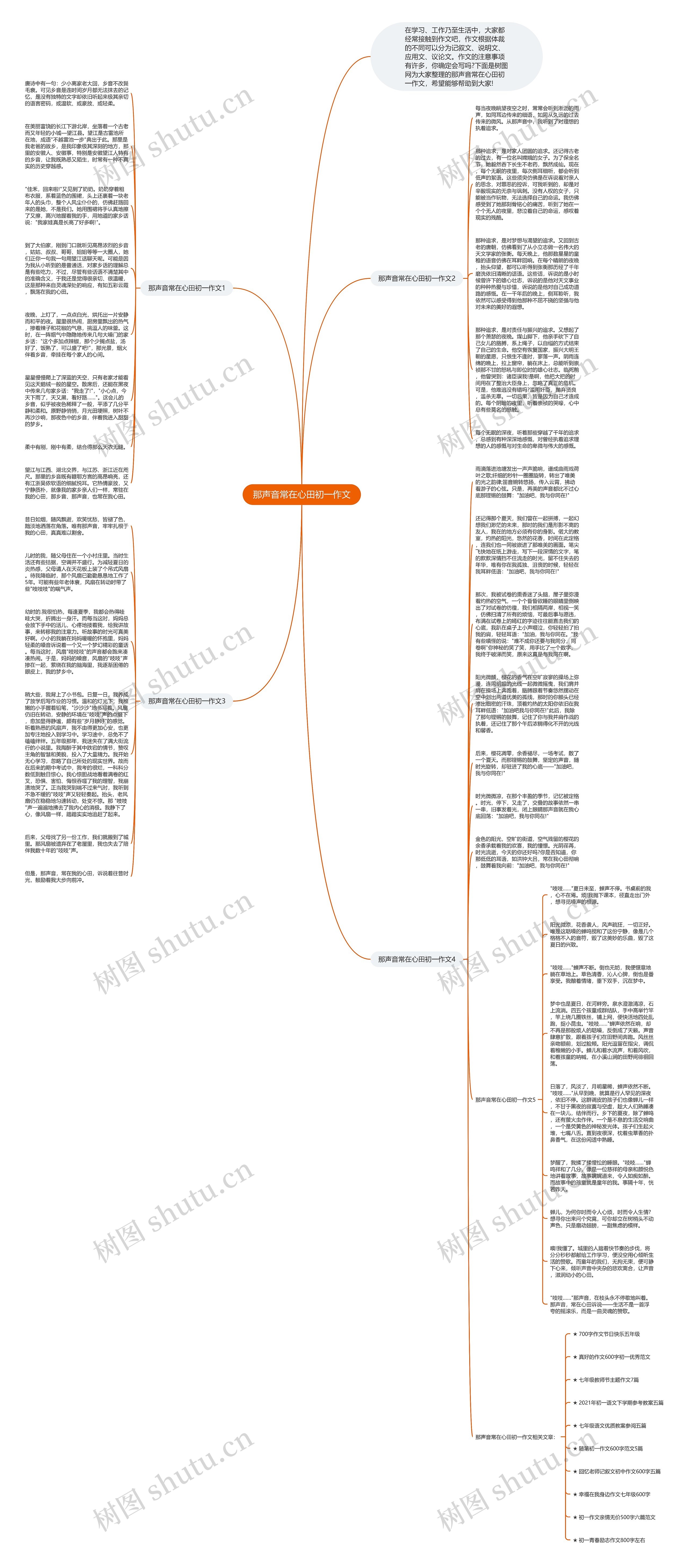 那声音常在心田初一作文思维导图