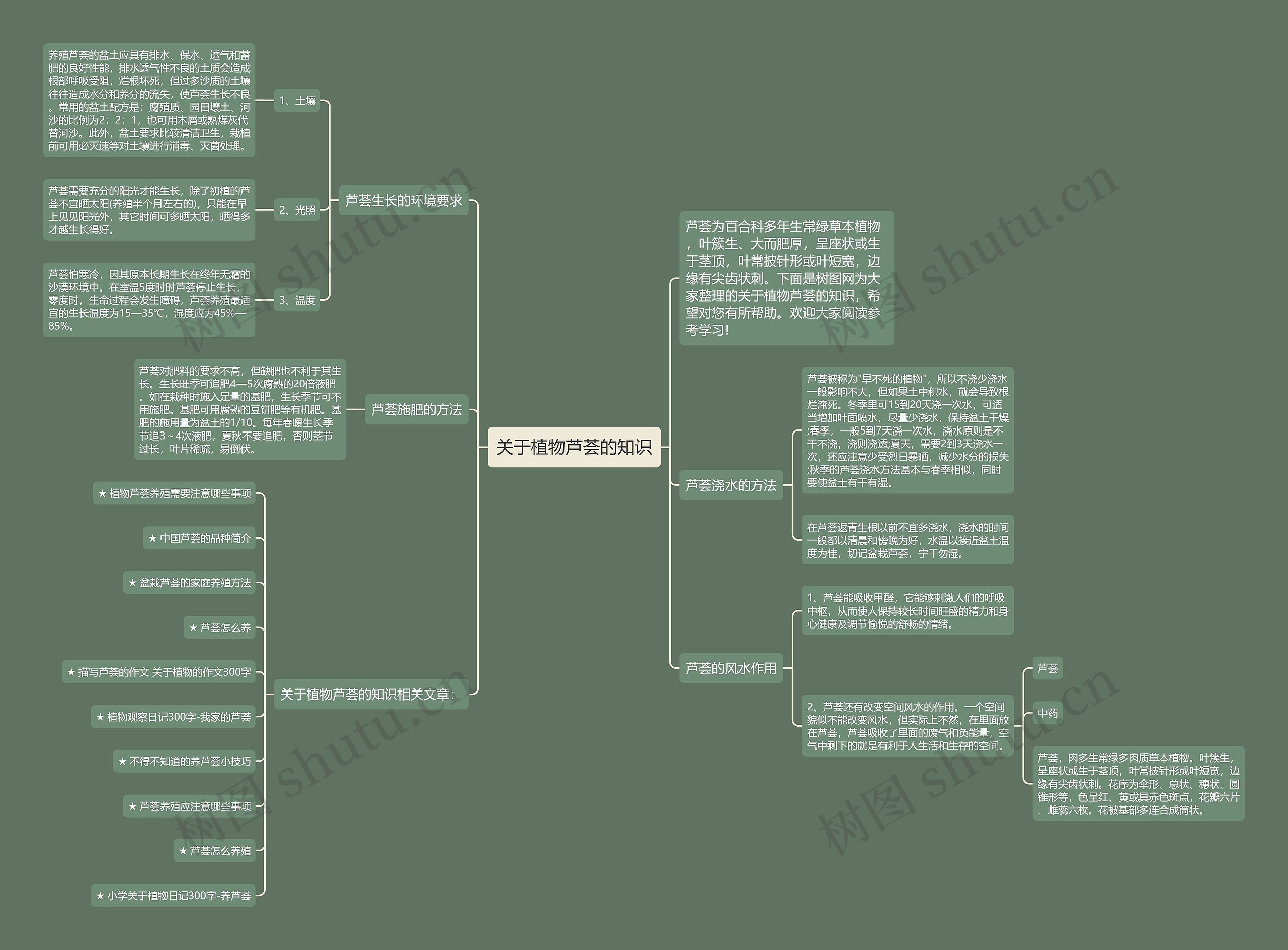 关于植物芦荟的知识思维导图