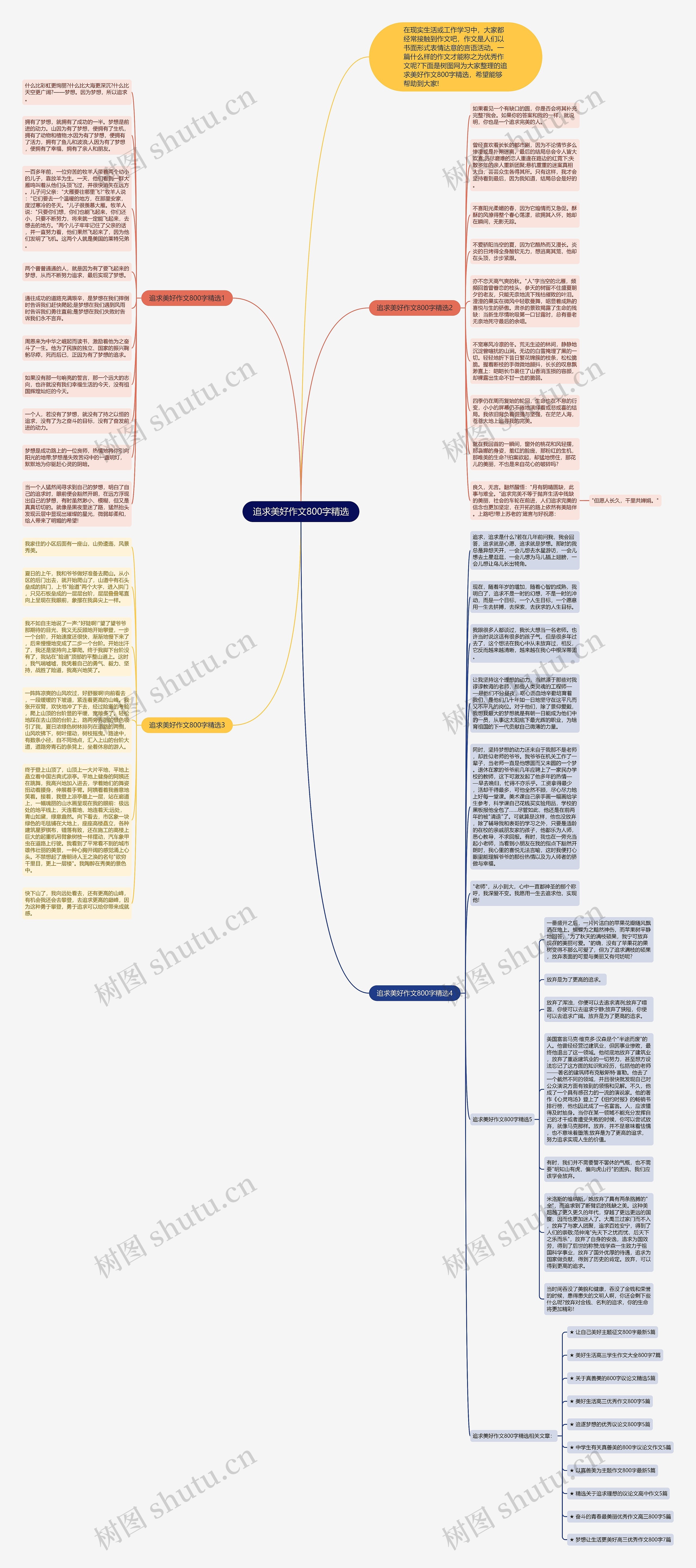 追求美好作文800字精选思维导图