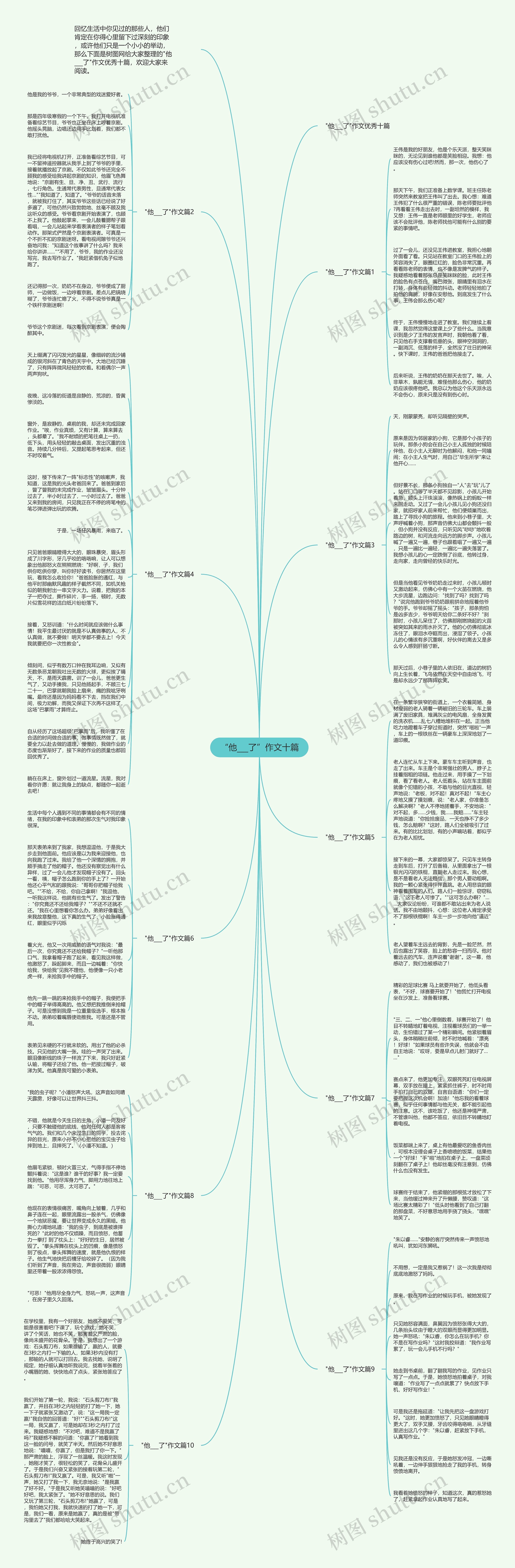 “他___了”作文十篇思维导图