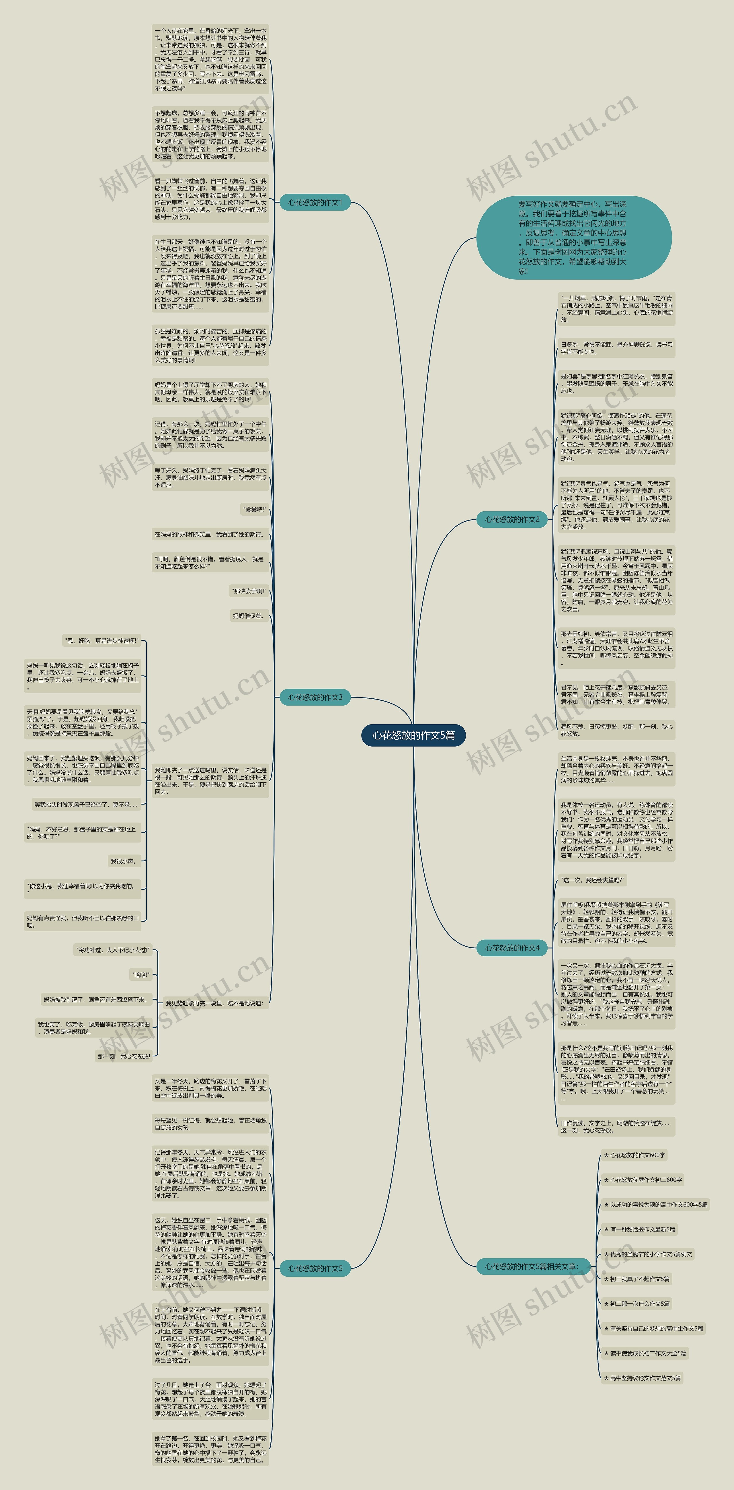 心花怒放的作文5篇思维导图