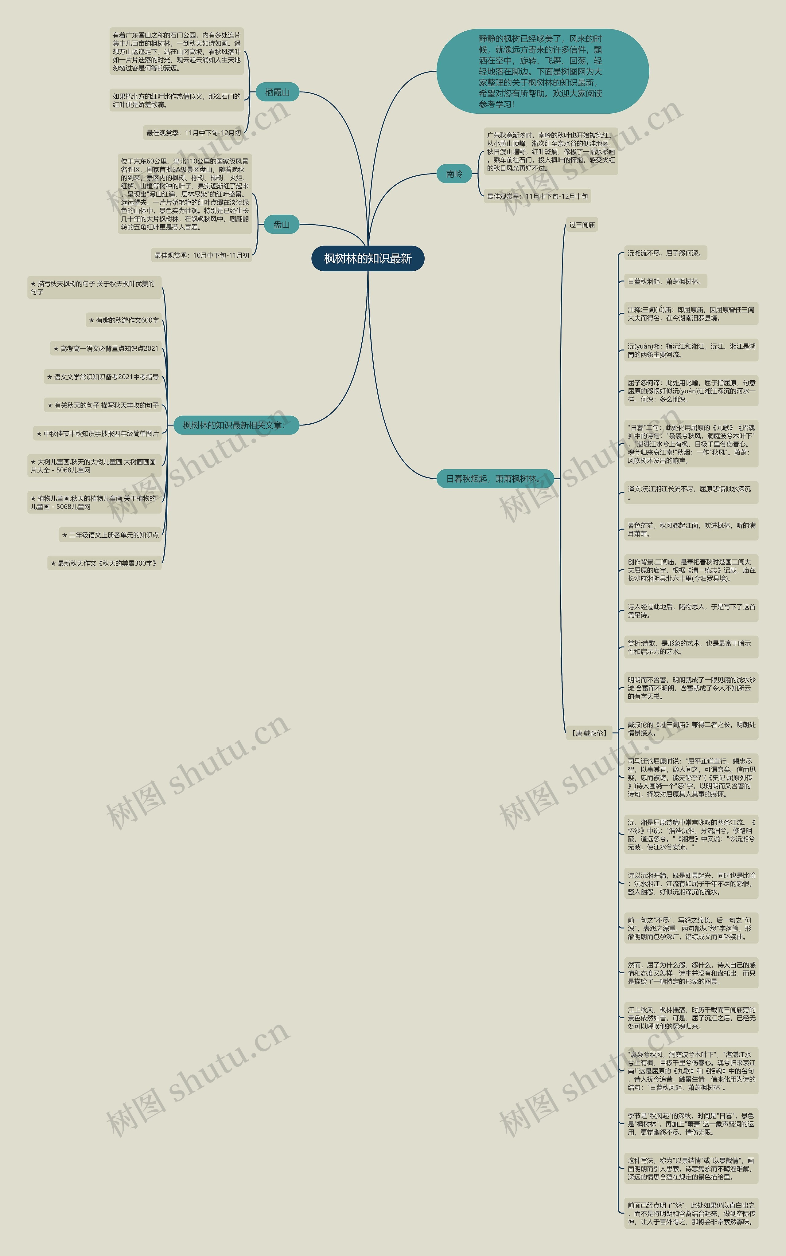 枫树林的知识最新思维导图