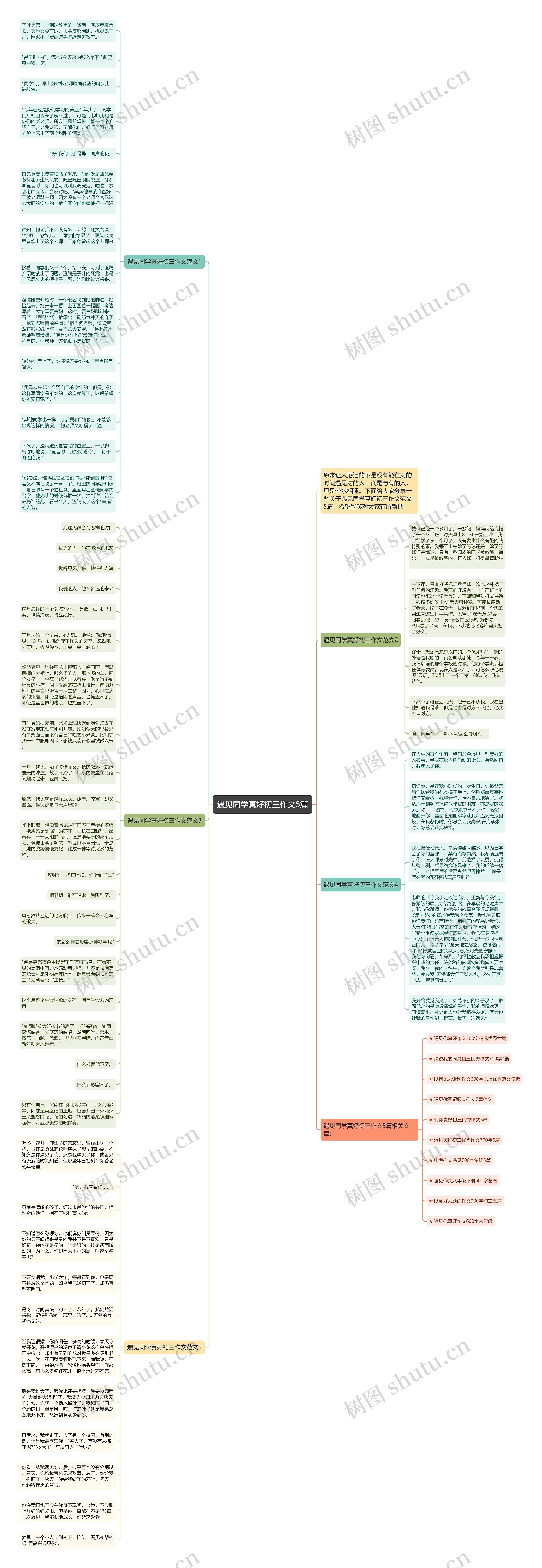 遇见同学真好初三作文5篇思维导图